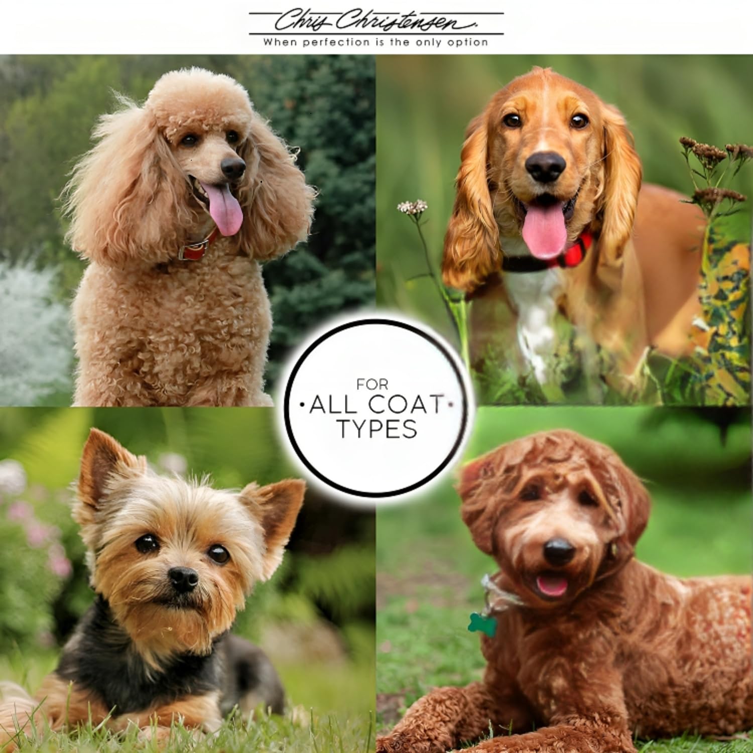 Chris Christensen 000 Greyhound Style Butter Comb, 7.5 Fine/Coarse, Metallic, Solid Brass with Steel Teeth, Chrome Finish