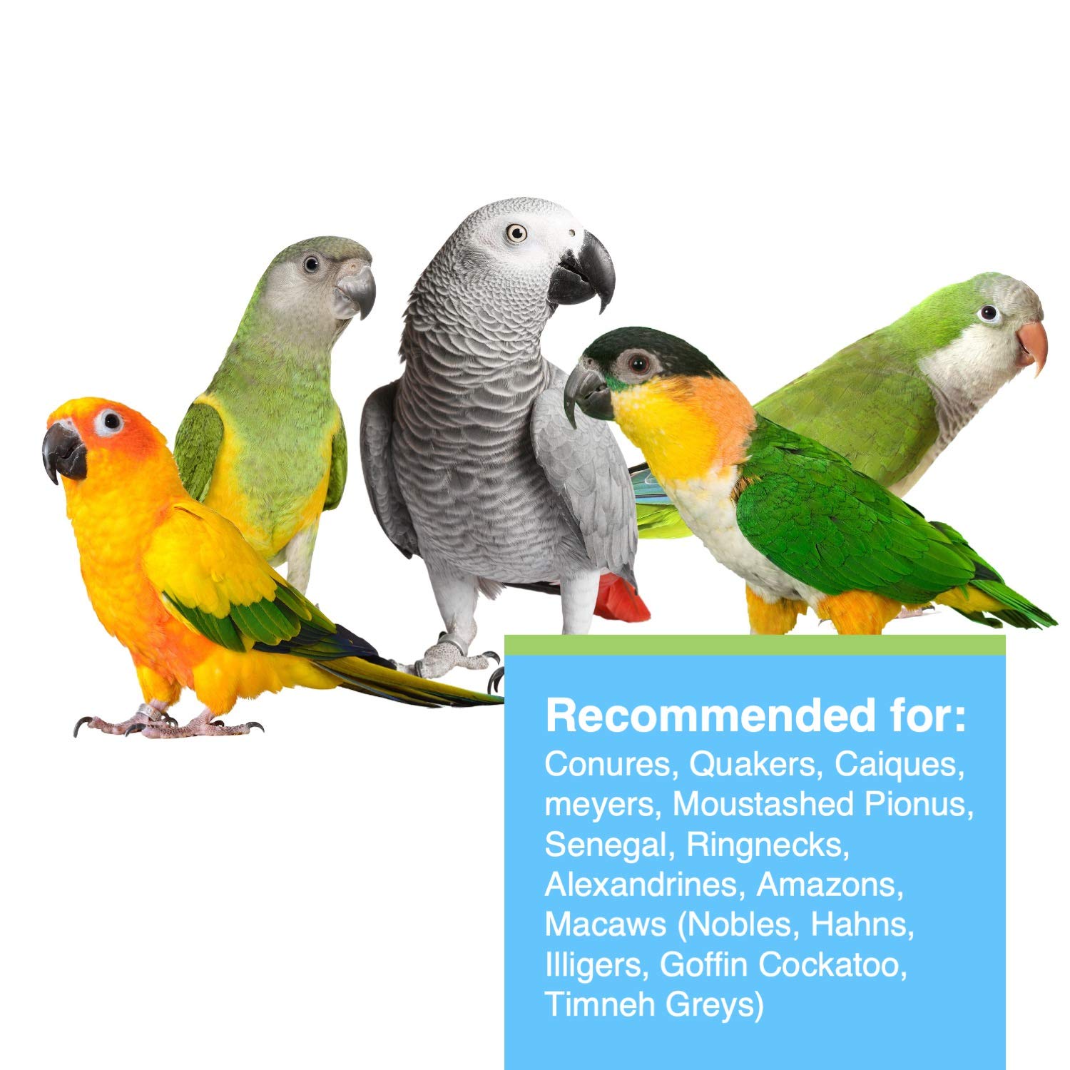Hari Hagen Tropimix Small Parrot Food - 20 lb Enrichment Mix with Seeds, Fruits, Nuts, Vegetables - Multicolor