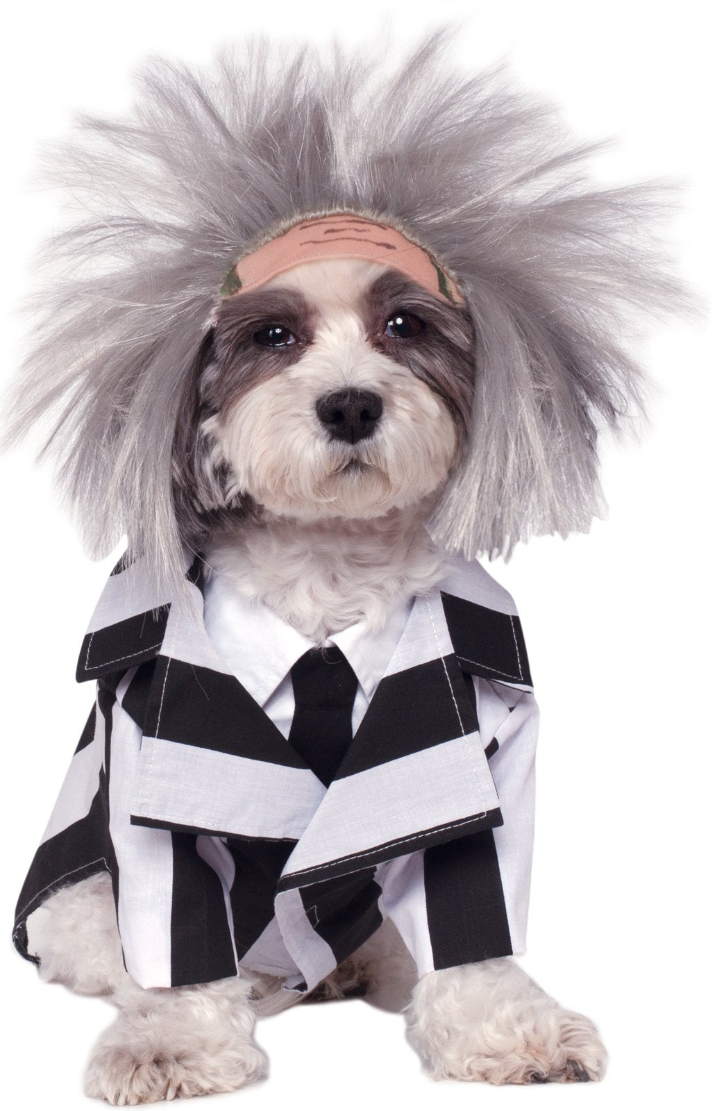 Rubies Beetlejuice Pet Costume, Large