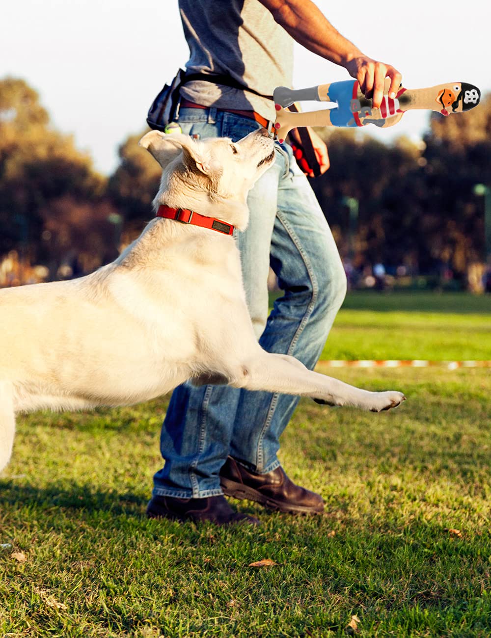 Jooee Screaming Rubber Chicken Dog Squeaky Toy, 8.5 Inch Tall, Latex Chew Molar Dog Toy (Pirate)