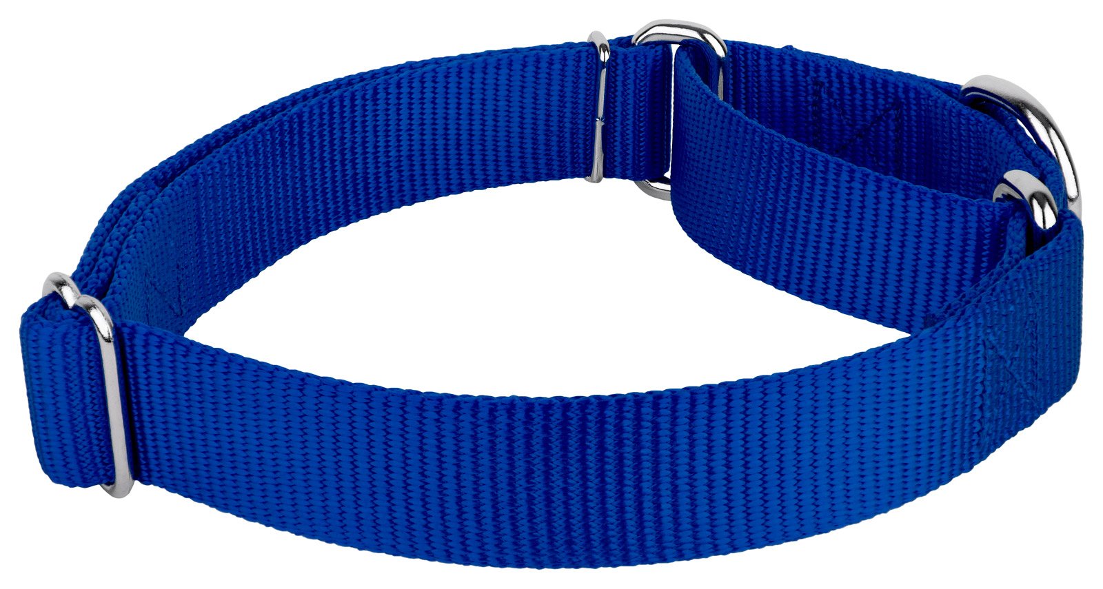 Country Brook Petz - Royal Blue Martingale Heavy Duty Nylon Dog Collar - 21 Vibrant Color Options (3/8 Inch Width, Micro)