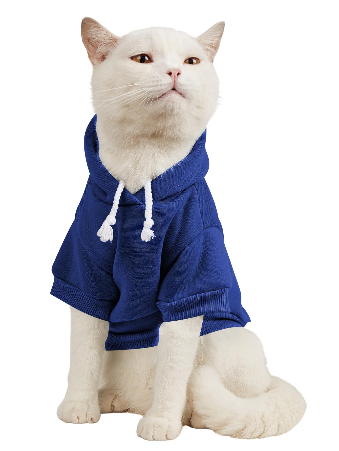 Qwinee Basic Dog Hoodie, Dog Warm Jacket, Cat Apparel, Dog Shirt, Dog Clothes For Puppy Kitten Small Medium Dogs Cats Royal Blue
