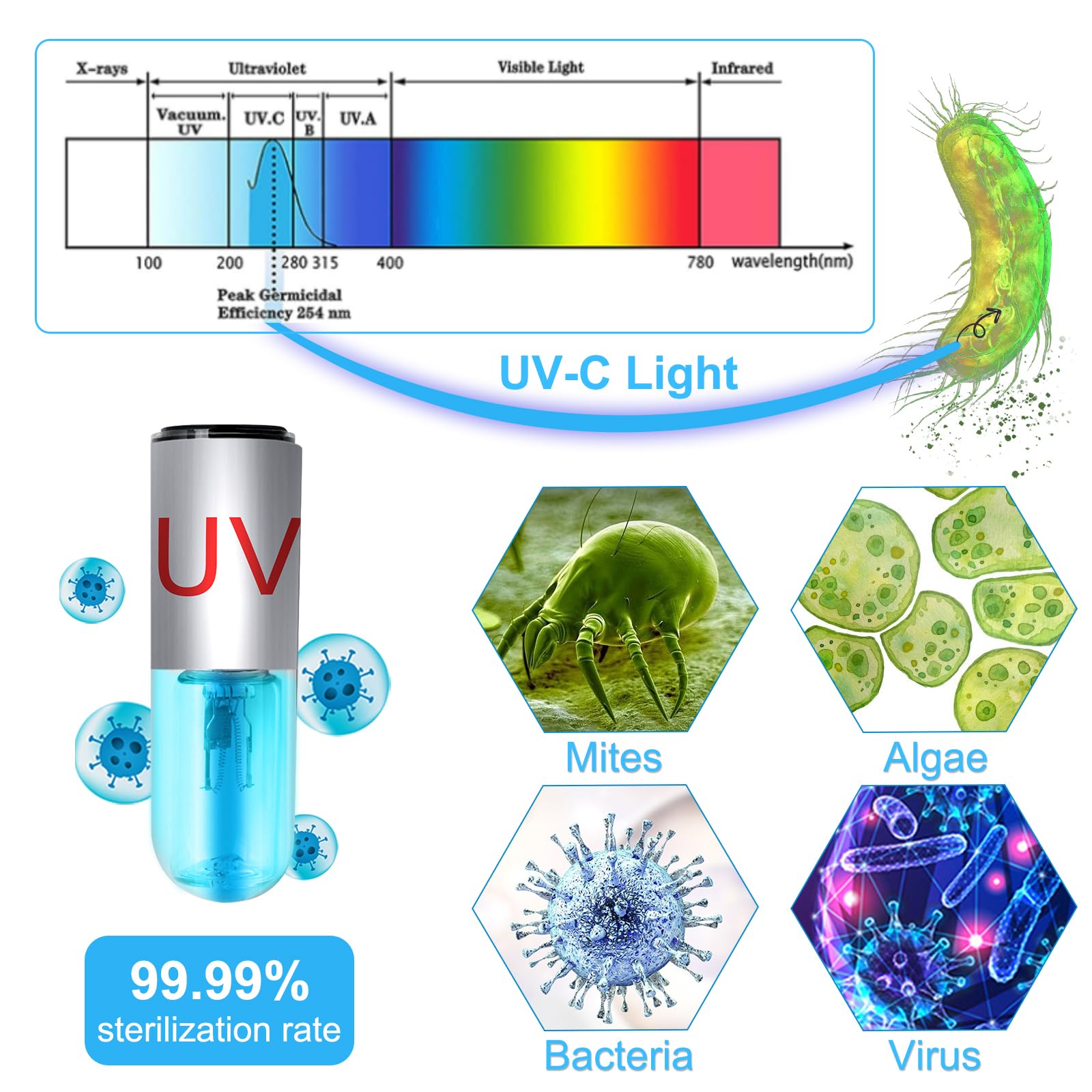 Taishan Aquarium Clean Light,3W Mini Algae Removal Light With Timer,Aquarium Water Clean Green Clear Waterproof Clean Light For