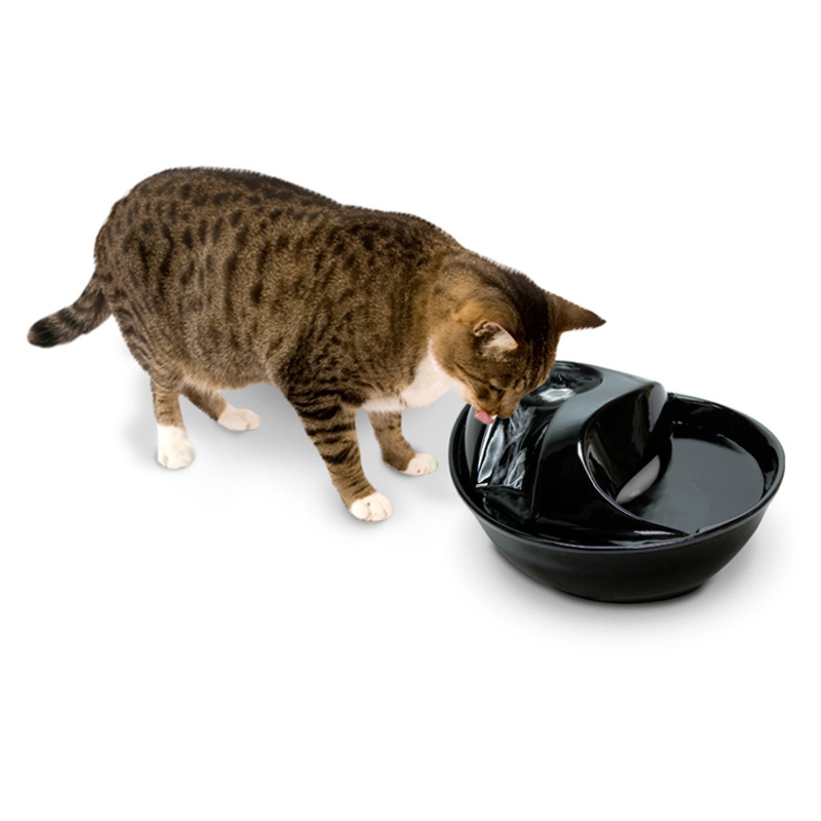 Pioneer Pet Raindrop Fountain, Pet Drinking Fountains (60 Oz., White Ceramic)