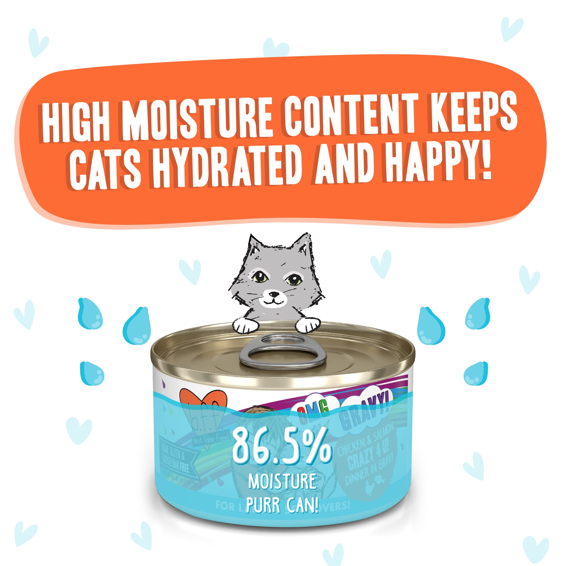 Weruva B.F.F. OMG - Best Feline Friend Oh My Gravy! Grain-Free Wet Cat Food Cans, Crazy 4 U! Chicken & Salmon, 2.8oz Can (Pack o
