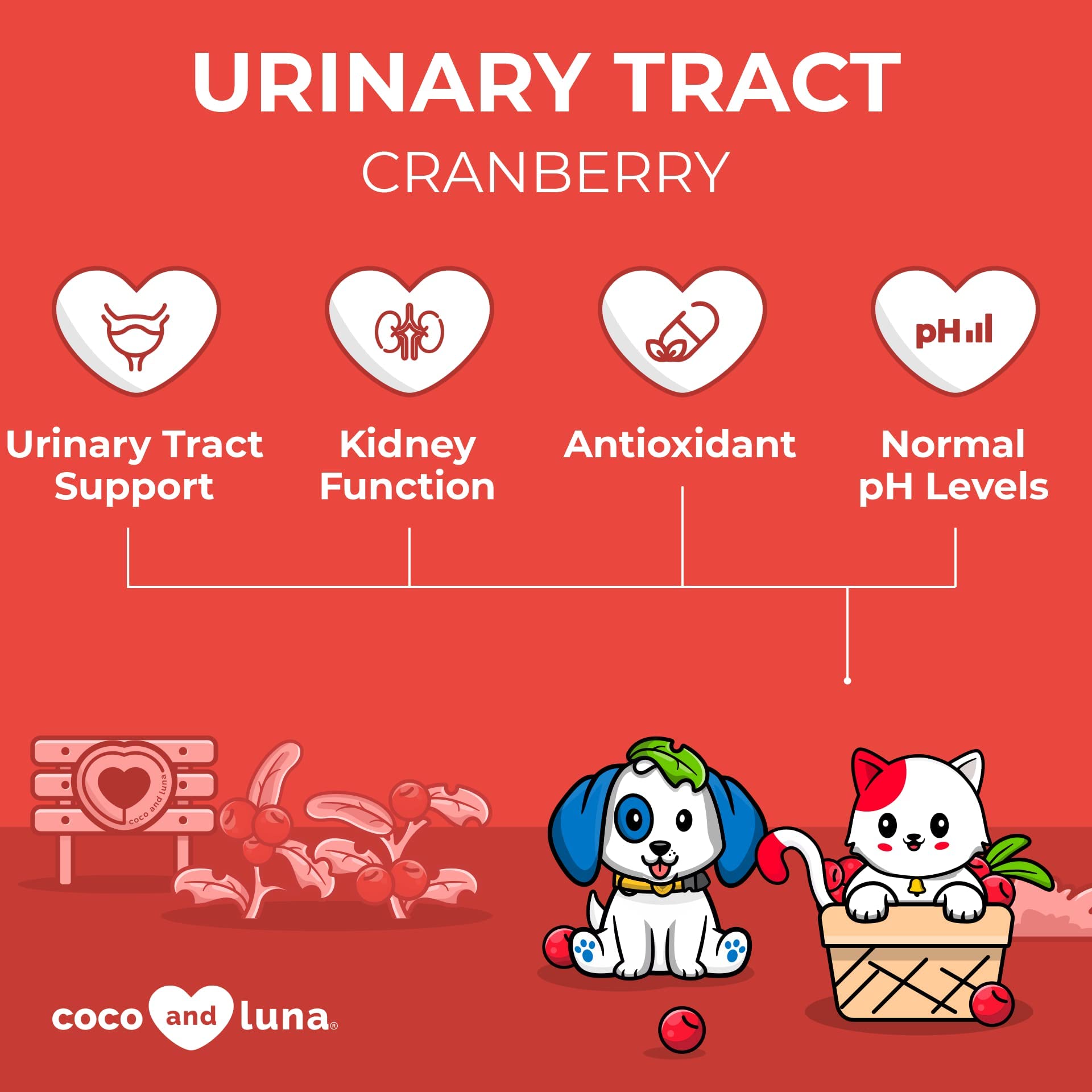 Cranberry For Dogs - Urinary Tract Support, Bladder Health, Dog Uti, Bladder Stones, Incontinence Support (Liquid For Dogs)