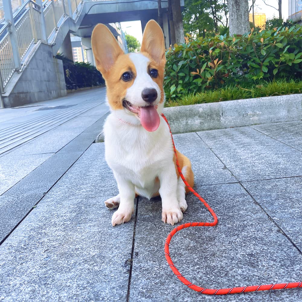 Sepxufore Reflective Long Slip Lead Dog Leash Anti-Choking 12 Ft/20 Ft/30 Ft/50 Ft Rope Training Leash For Medium Dogs Small Puppy Pets (12Ft, Red)