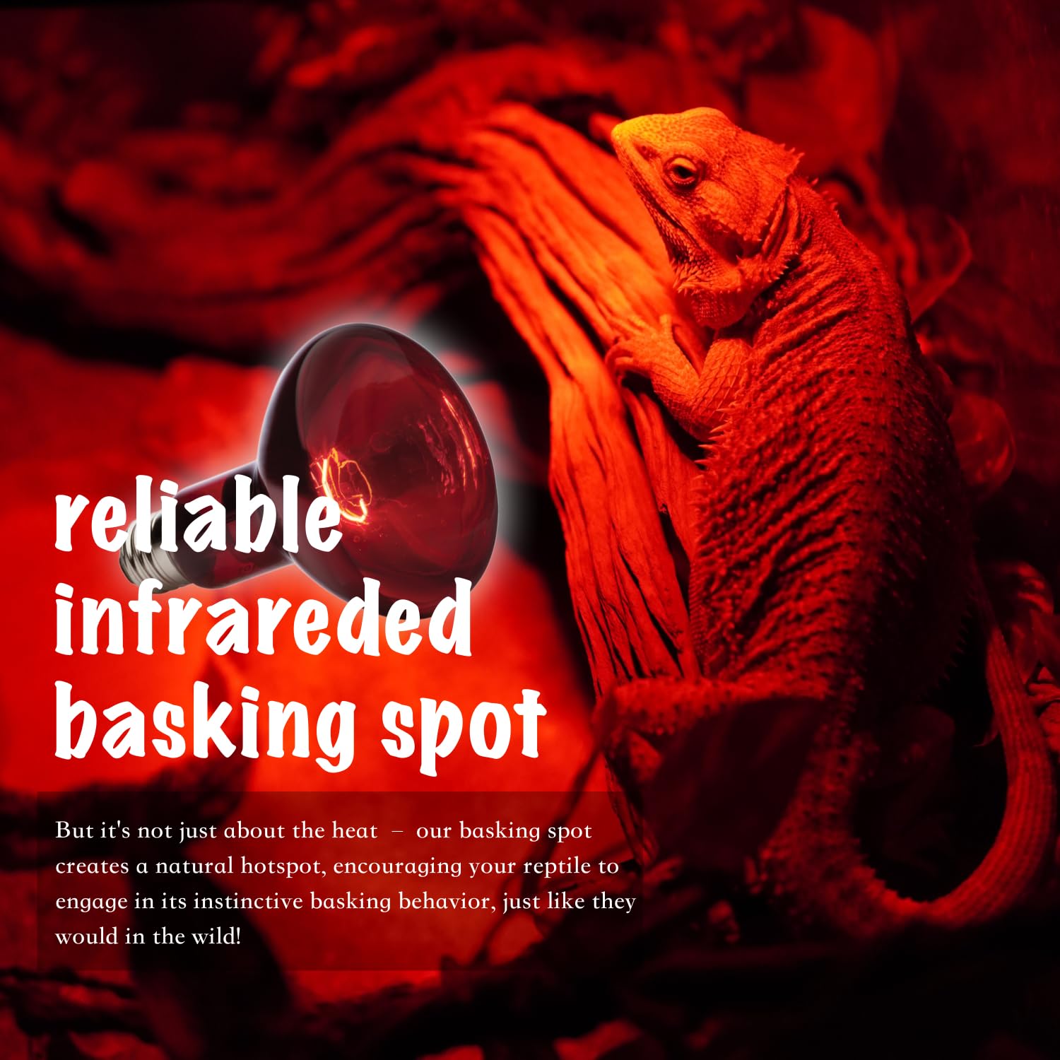 ReptiKing Red Basking Bulb for Reptiles, 2 Pack 100W Upgraded Infrared Basking Spot, Reptile Night Heating Bulb Light, Red Heat