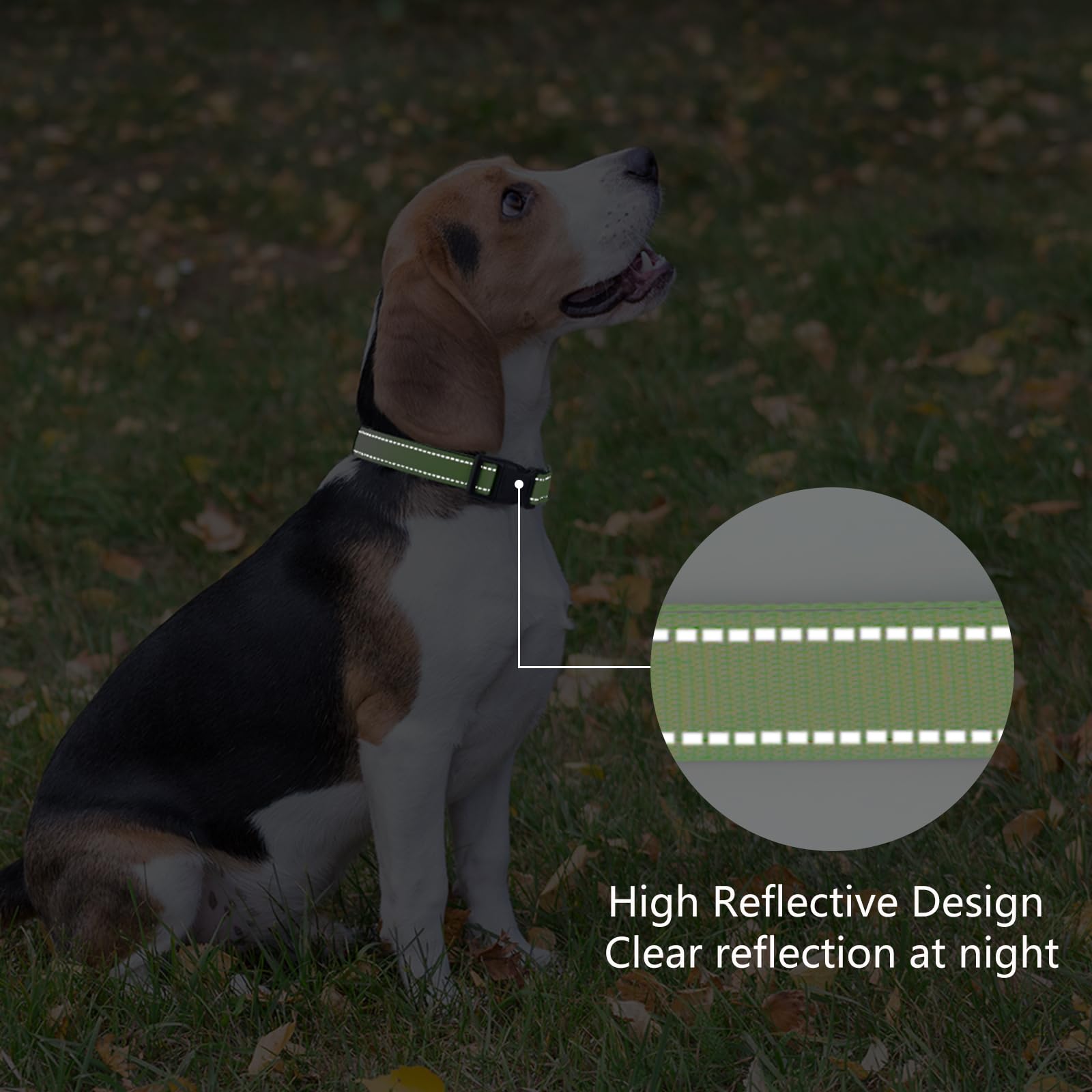 Penseepet Reflective Dog Collar Padded With Soft Neoprene Breathable Quick Release Basic Dog Collars For Puppy Small Dogs Girl Green