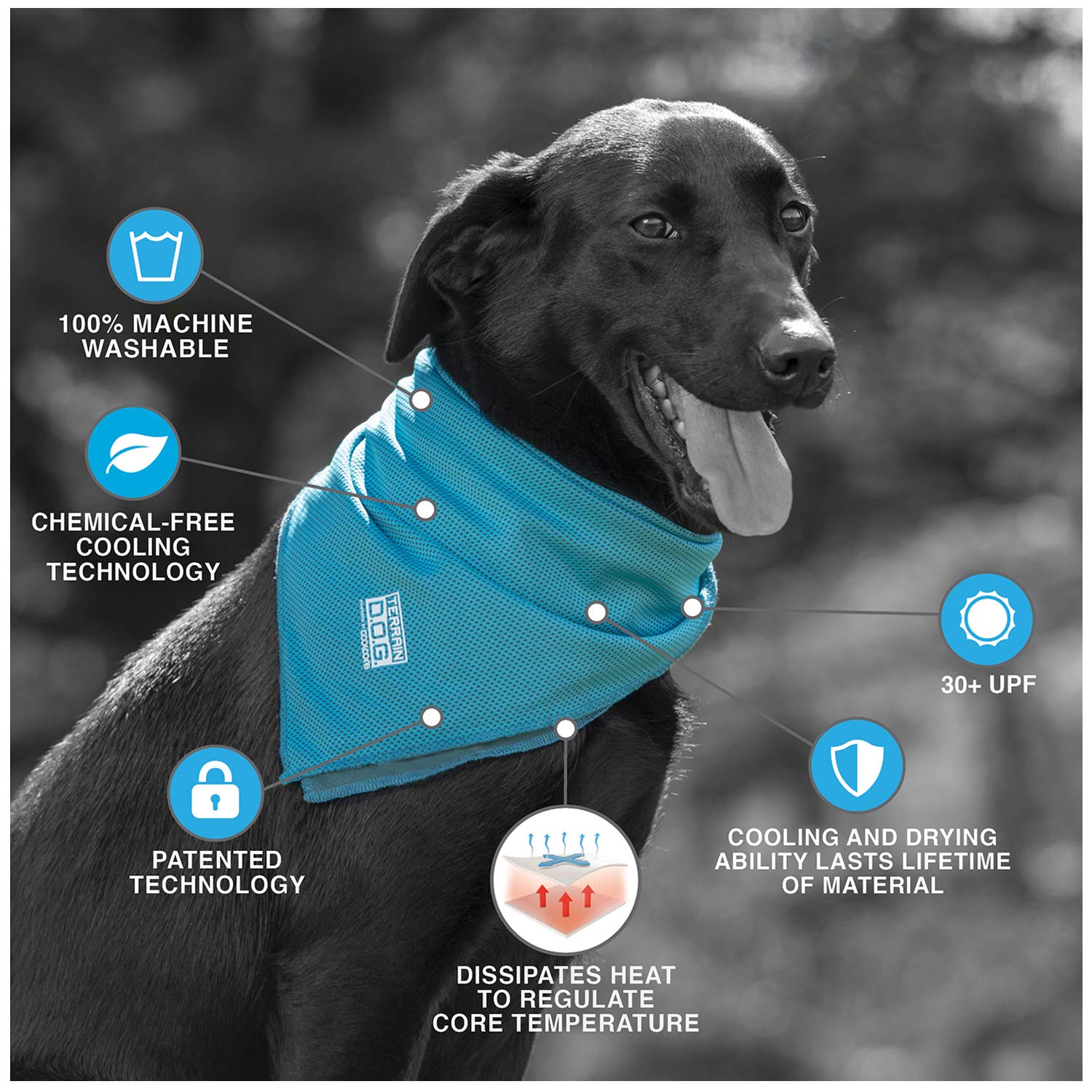 Terrain Dog Cooling Bandana - Cooling Fabric Powered By Coolcore Technology - Machine Washable Scarf To Keep Your Pet Cool