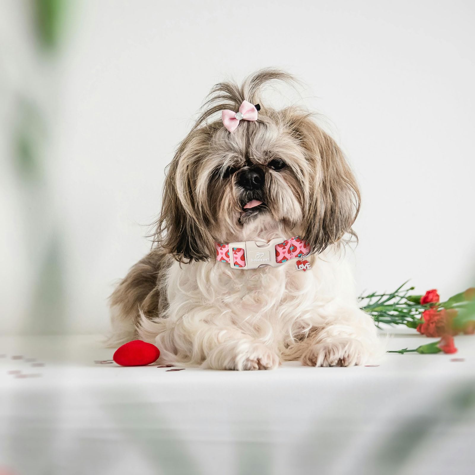 Babole Pet Valentines Dog Collar for Small Dogs - Design Cute Rose Red Valentine Dog Collars Boy Girl Puppy Adjustable Quick Rel