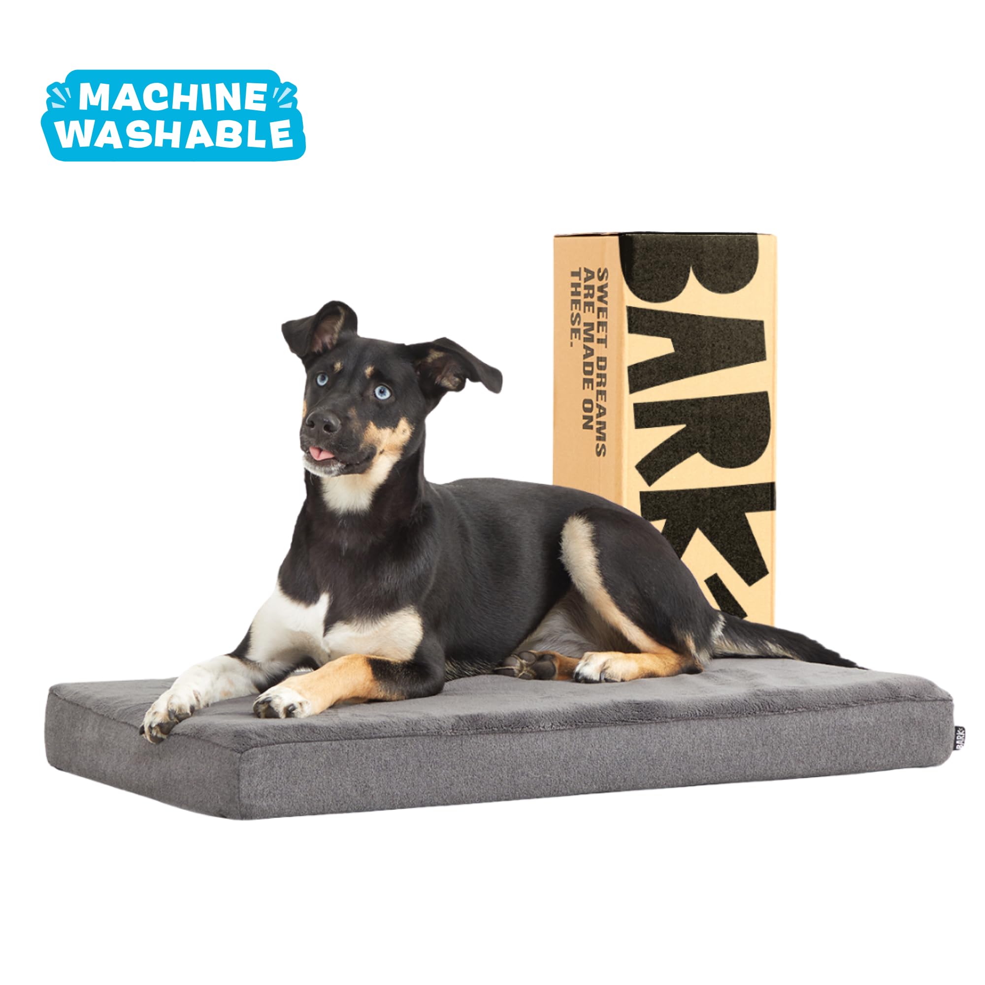 Barkbox Orthopedic Dog Bed with Memory Foam, Premium Comfort for Dogs and Puppies, Dog Beds for Joint Relief and Restful Sleep,