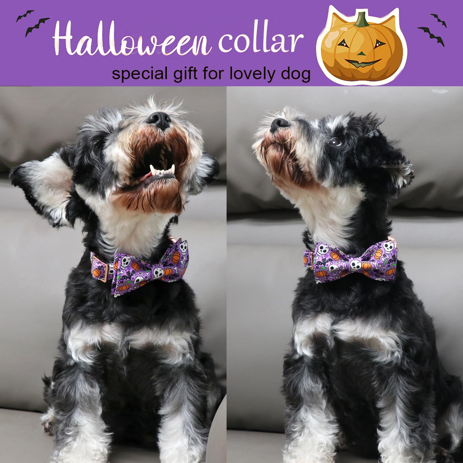 Aring Pet Halloween Dog Collar Cute Pumpkin Dog Collar Bowtie, Cotton Purple Skull Bat Dog Collars Daisy Puppy Collars With Metal Buckle