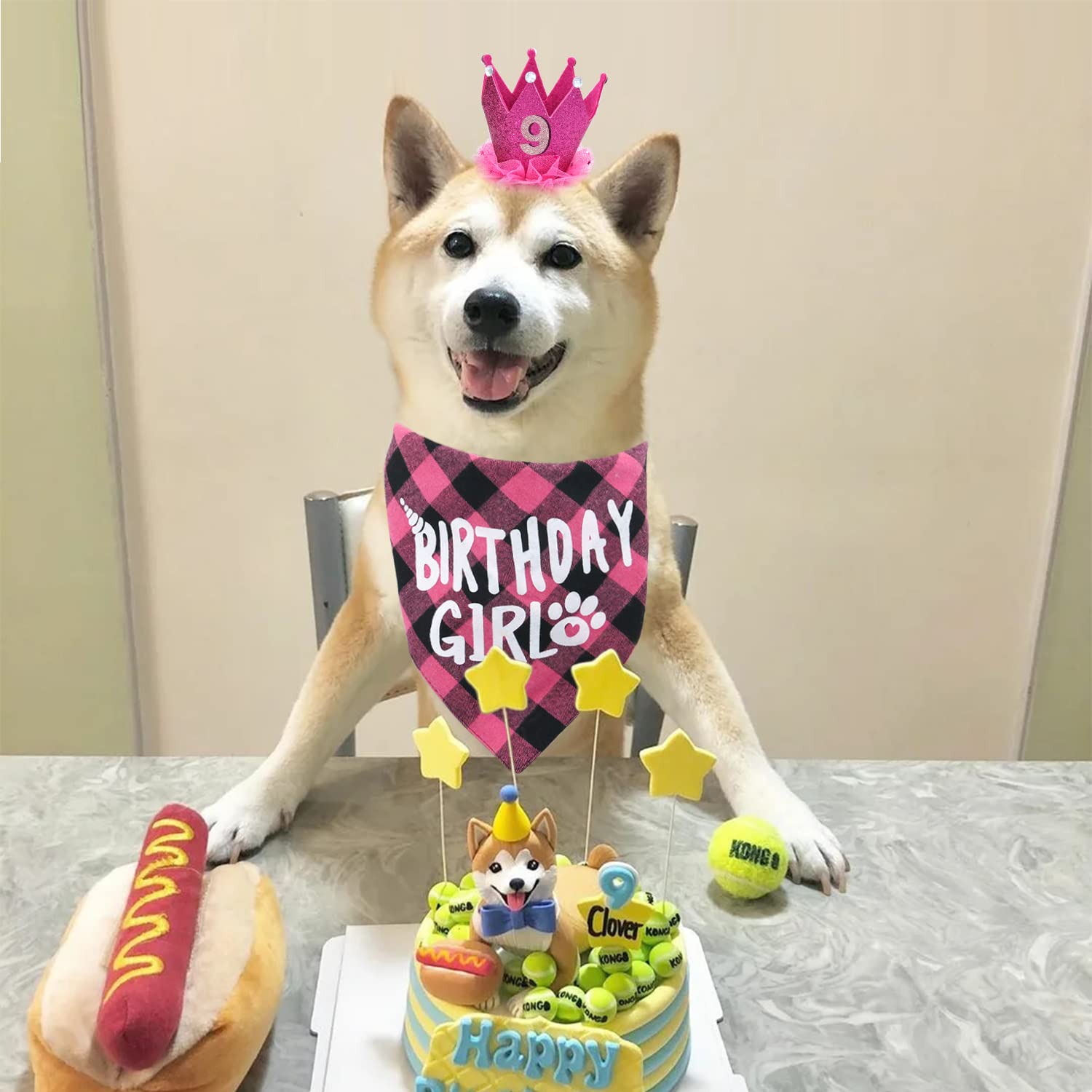 Dog Birthday Bandana - Girl Dog Birthday Hat With Number - Dog Birthday Supplies For Small And Medium Dog Pet