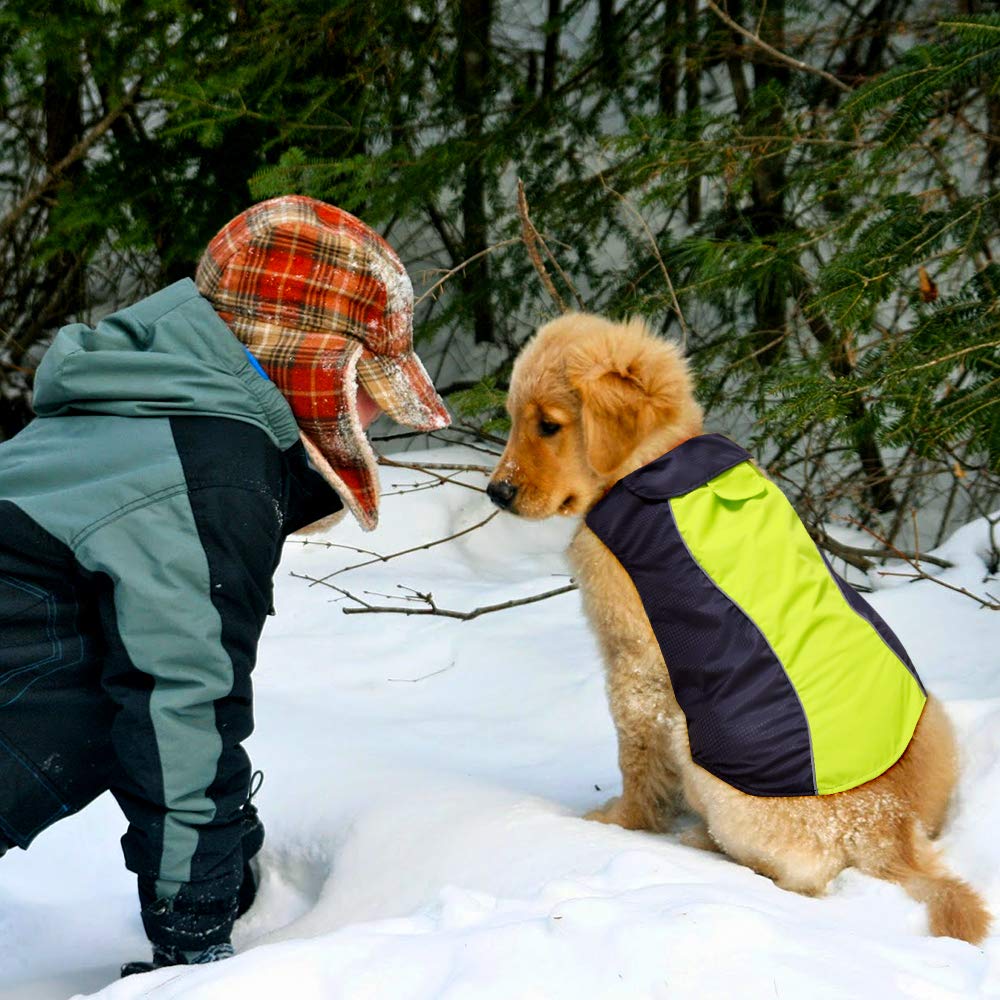 VIZPET Dog Raincoat - Waterproof High Visibility Jacket, Green-L, Nylon for Small Medium Large Dogs
