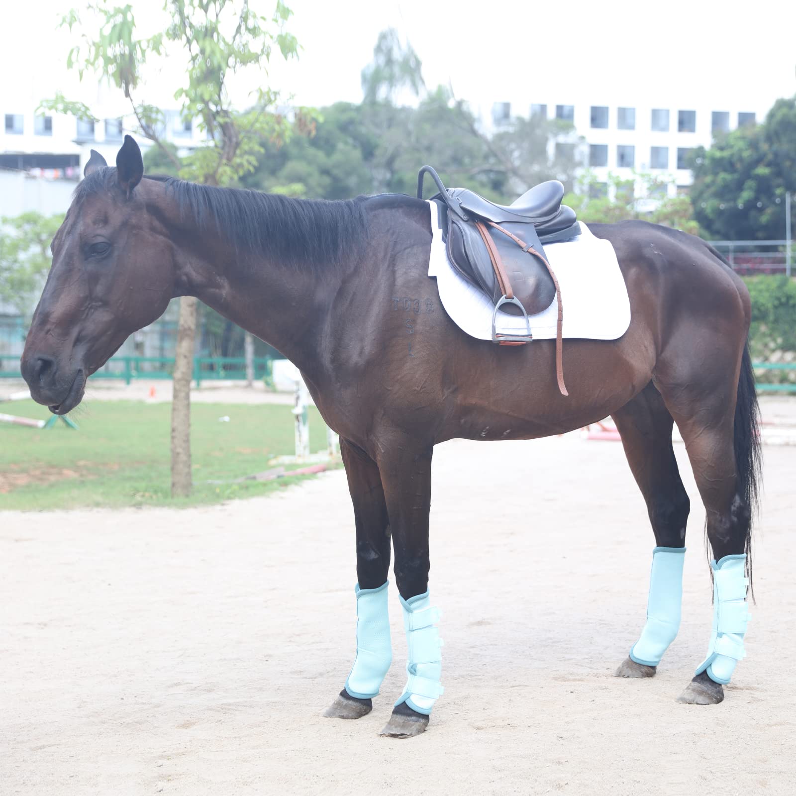 Gallopoff Fly Boots For Horses Set Of 4, Breathable Comfy Mesh Horse Leggings Reduce Stomping, Hoof Stress, And Leg Fatigue Skyb