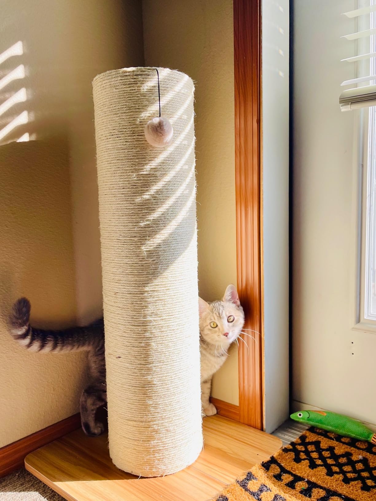 Kamaboko 29.5 Cat Scratching Post, 7.5 Ultra-Large Diameter Natural Sisal Cat Scratch Post, Scratch-Resistant Tall Cat Scrat
