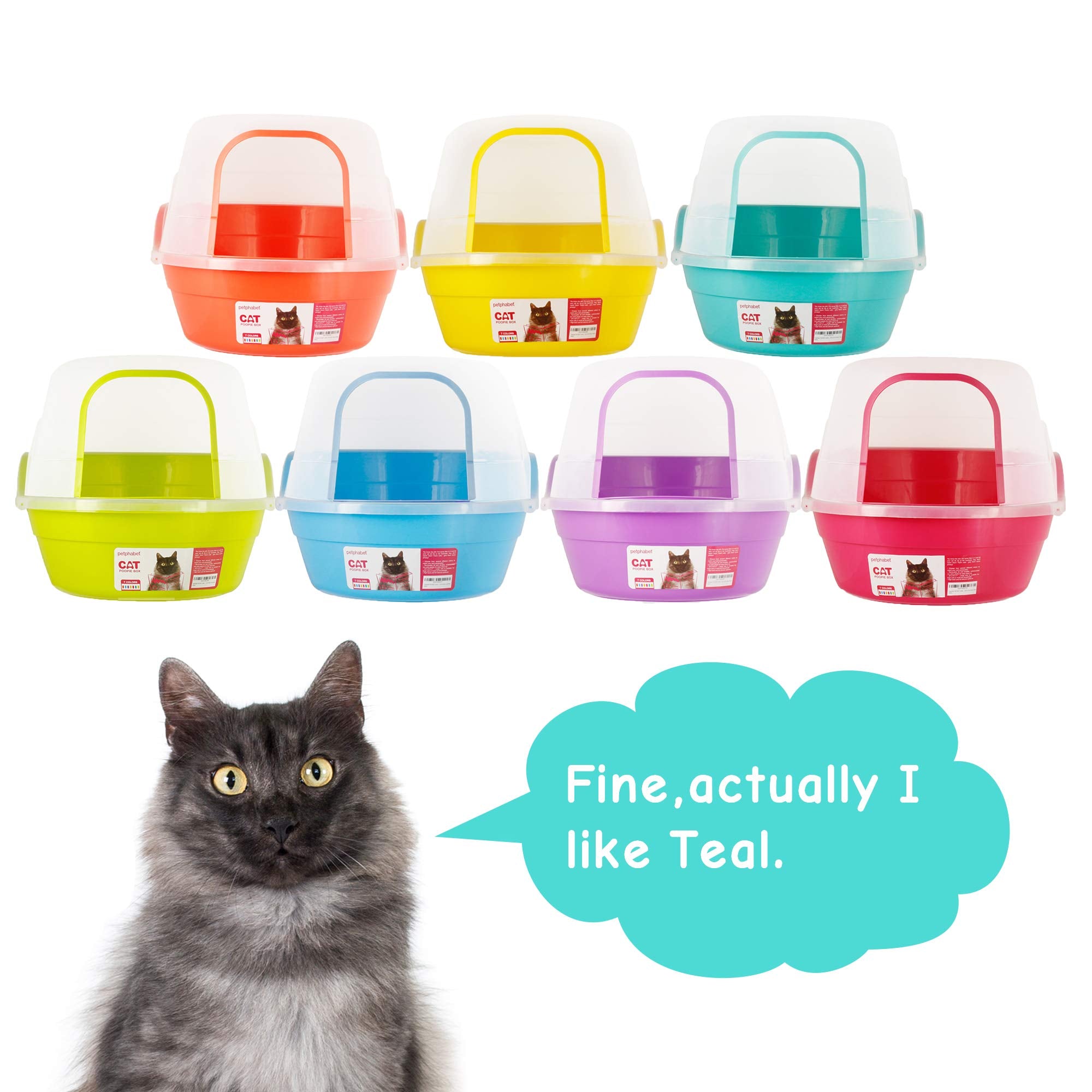 Petphabet Jumbo Hooded Cat Litter Box, Extra Large, Teal