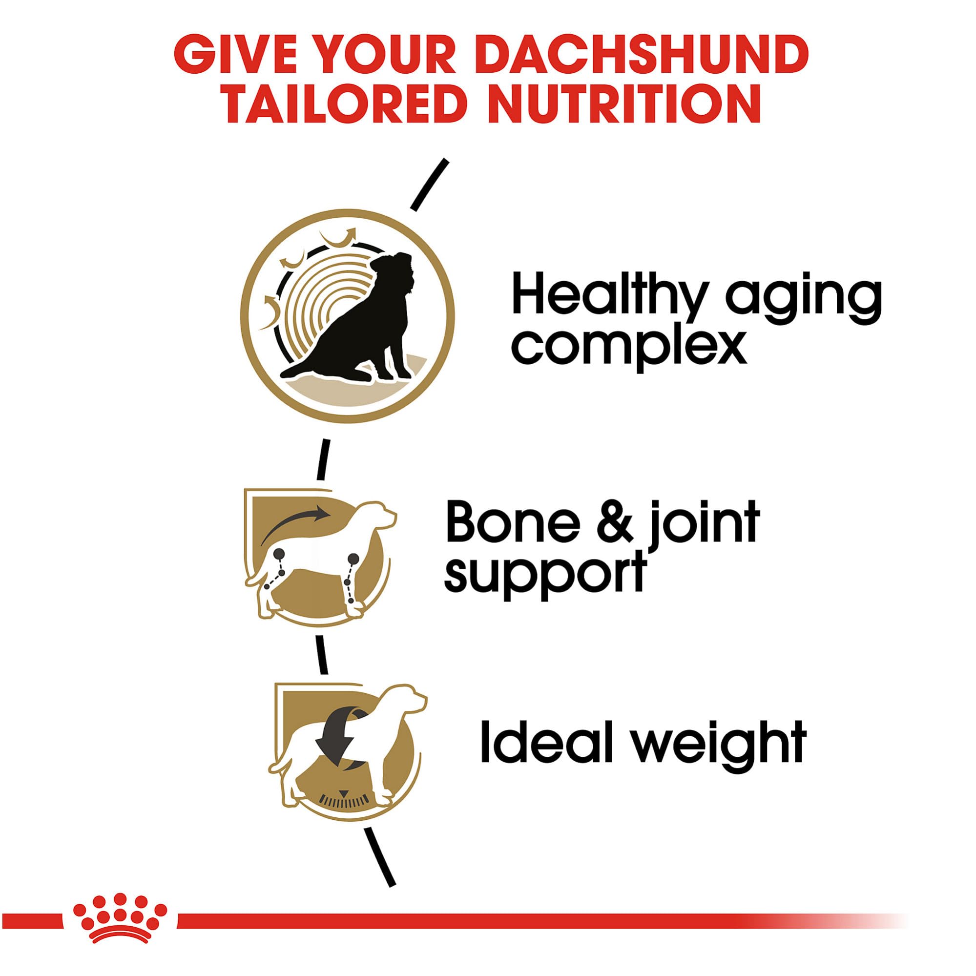 Royal Canin Breed Health Nutrition Dachshund Teckel 8+ Adult Dry Dog Food, 3 lb bag