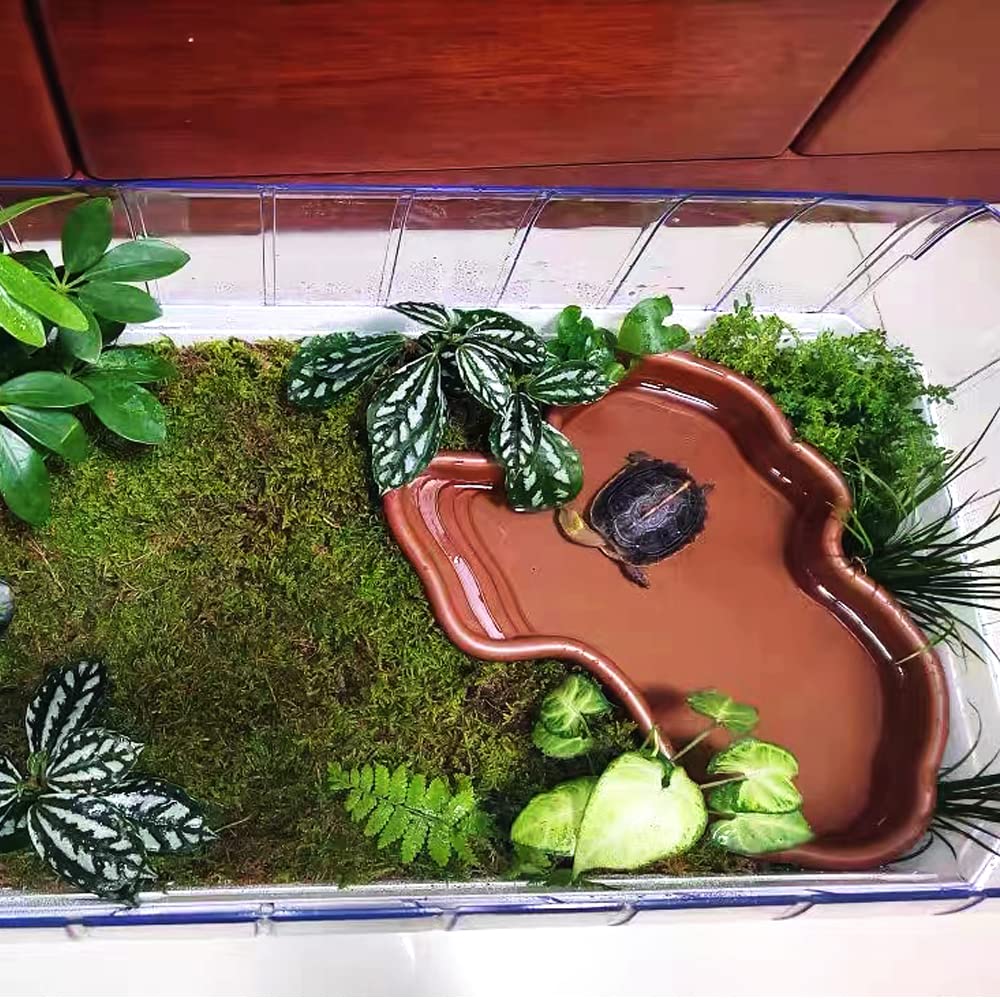 Flushbay Extra Large Reptile Bathing Pool Reptile Feeding Dish Water Bowl with Ramp Aquarium Ornament for Gecko, Snake, Turtle,