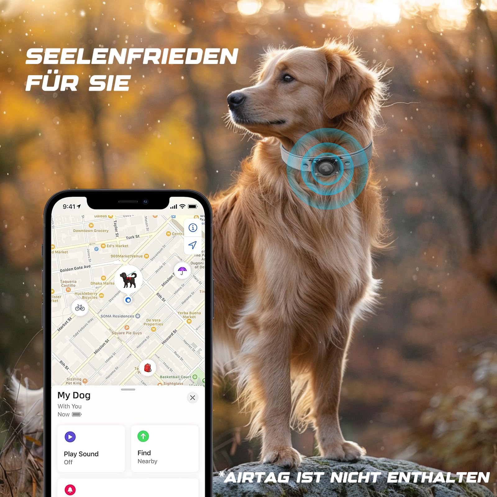 Airtag Dog Collar - Leather Dog Collar With Air Tag Holder | Ipx8 Waterproof, Reflective, High - End, Adjustable Soft Padded | D