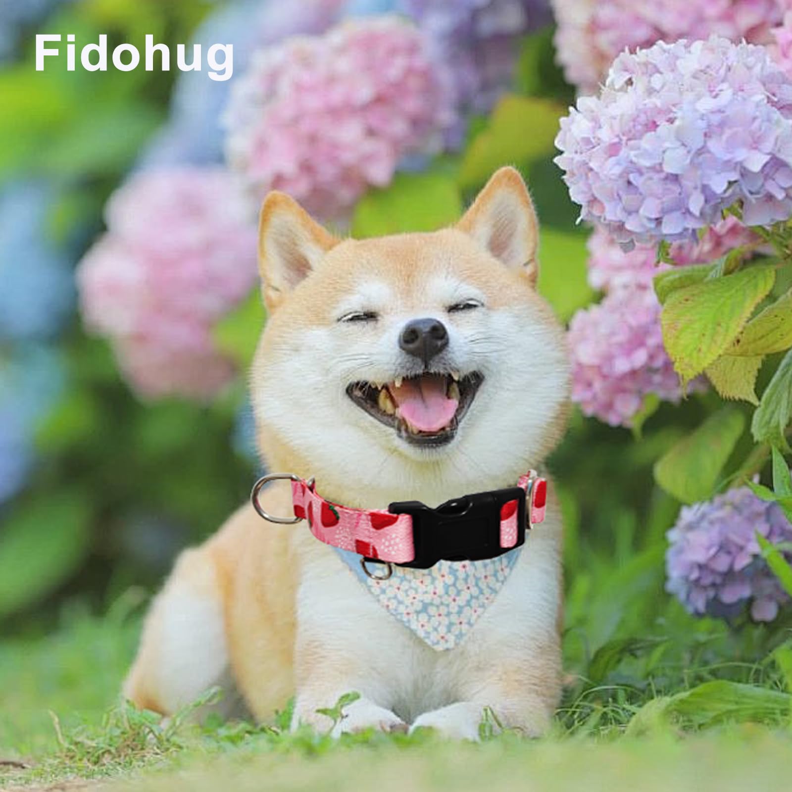 Fidohug Martingale Collar For Dogs With Buckle Adjustable Nylon Slip No Pull Training Dog Collars (Pink Strawberry, Large)