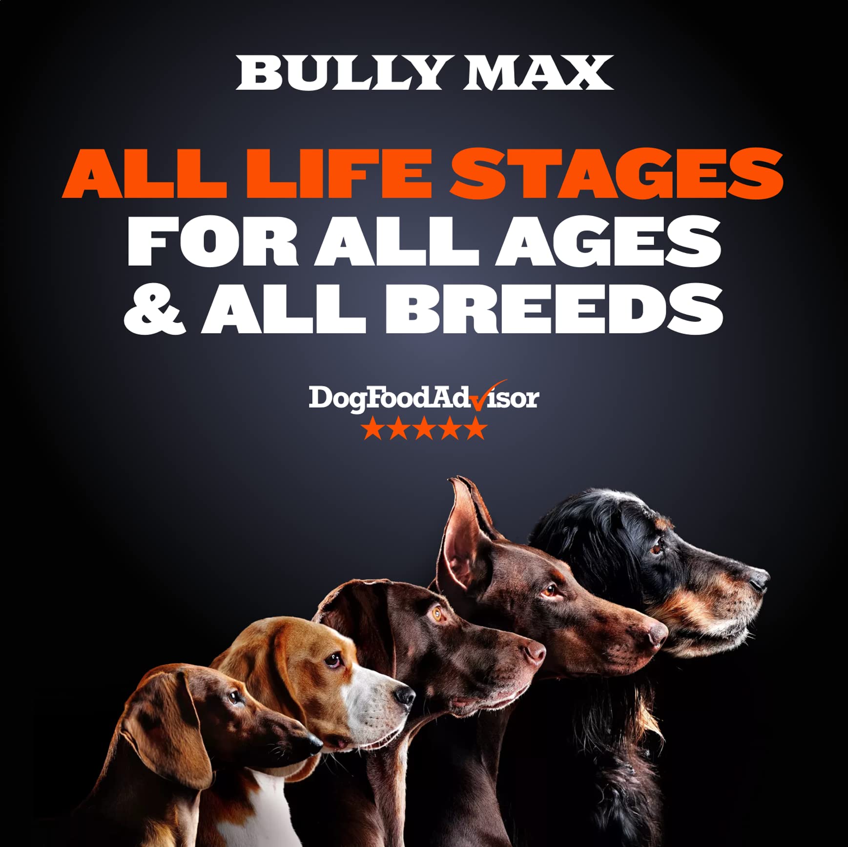 Bully Max Dry Dog Food for Adult & Puppy - High Protein & Fat for Muscle & Weight Gain - High Performance Healthy Dog Food Suppl