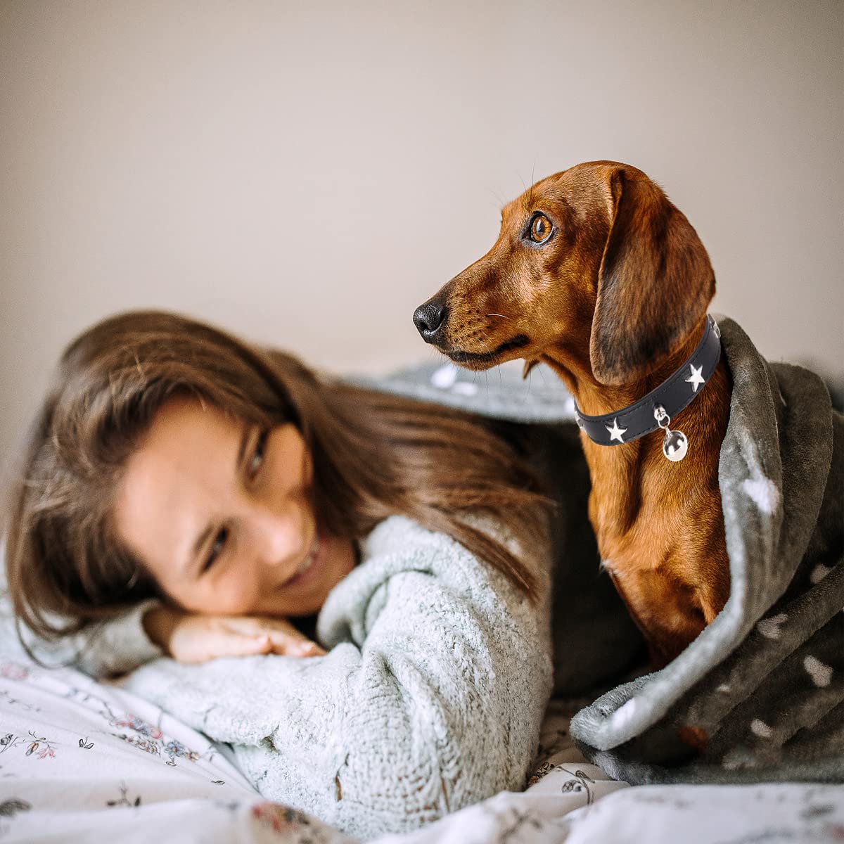 Dog Collar With Star Studs And Bell, Dog Necklace For Puppy Small Medium Large Dog Cat Collar Pet Collar Boy Girls Dog (S: 10-13