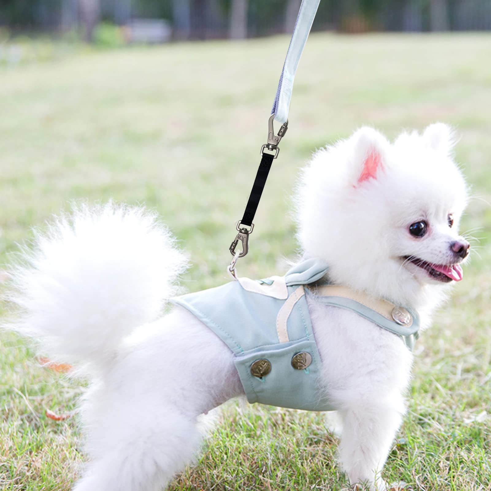 Heavy Duty Double Ended Collar Backup Clip For Dog Harnesses, Lockable Safety Clip For Prong Collar With Gentle Nylon Webbing