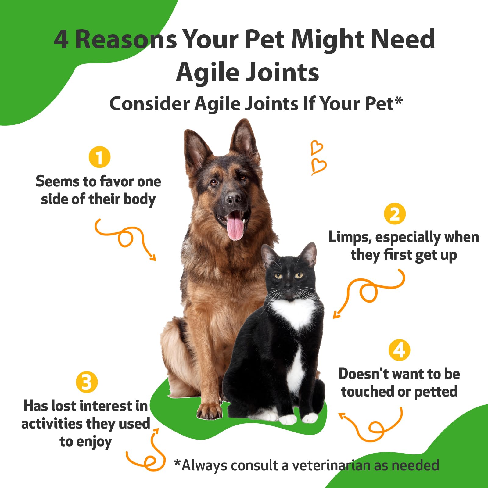 Pet Wellbeing Agile Joints for Dogs - Hip and Joint Health, Mobility, Devils Claw, Boswellia, Joint Ligament and Cartilage - Vet