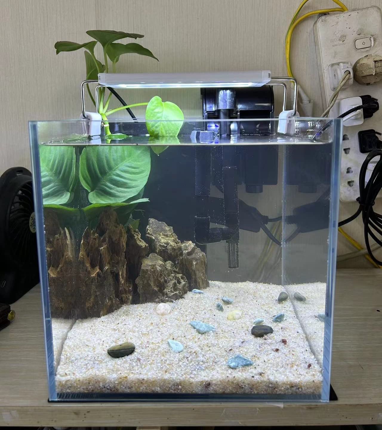 AWXZOM Small Nano Tall Rimless Tank, Glass Fish Tank, Betta Tank (2 Gallon 7.8x7.8x7.8inch/20x20x20cm)