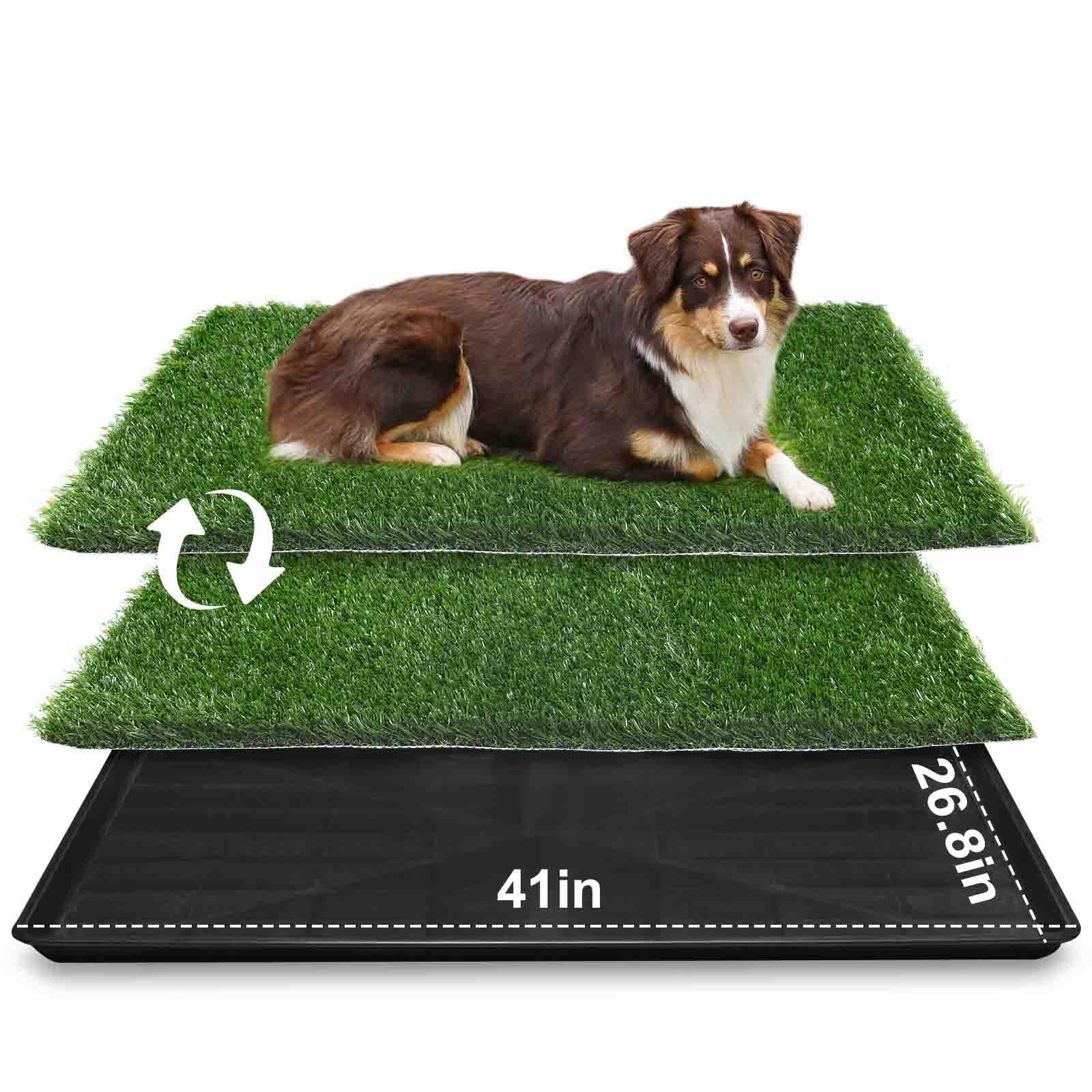 Loobani 41X26.8In Large Dog Grass Potty Tray - Dog Litter Box With 2-Pack Replacement Artificial Grass Puppy Training Pads - Pot