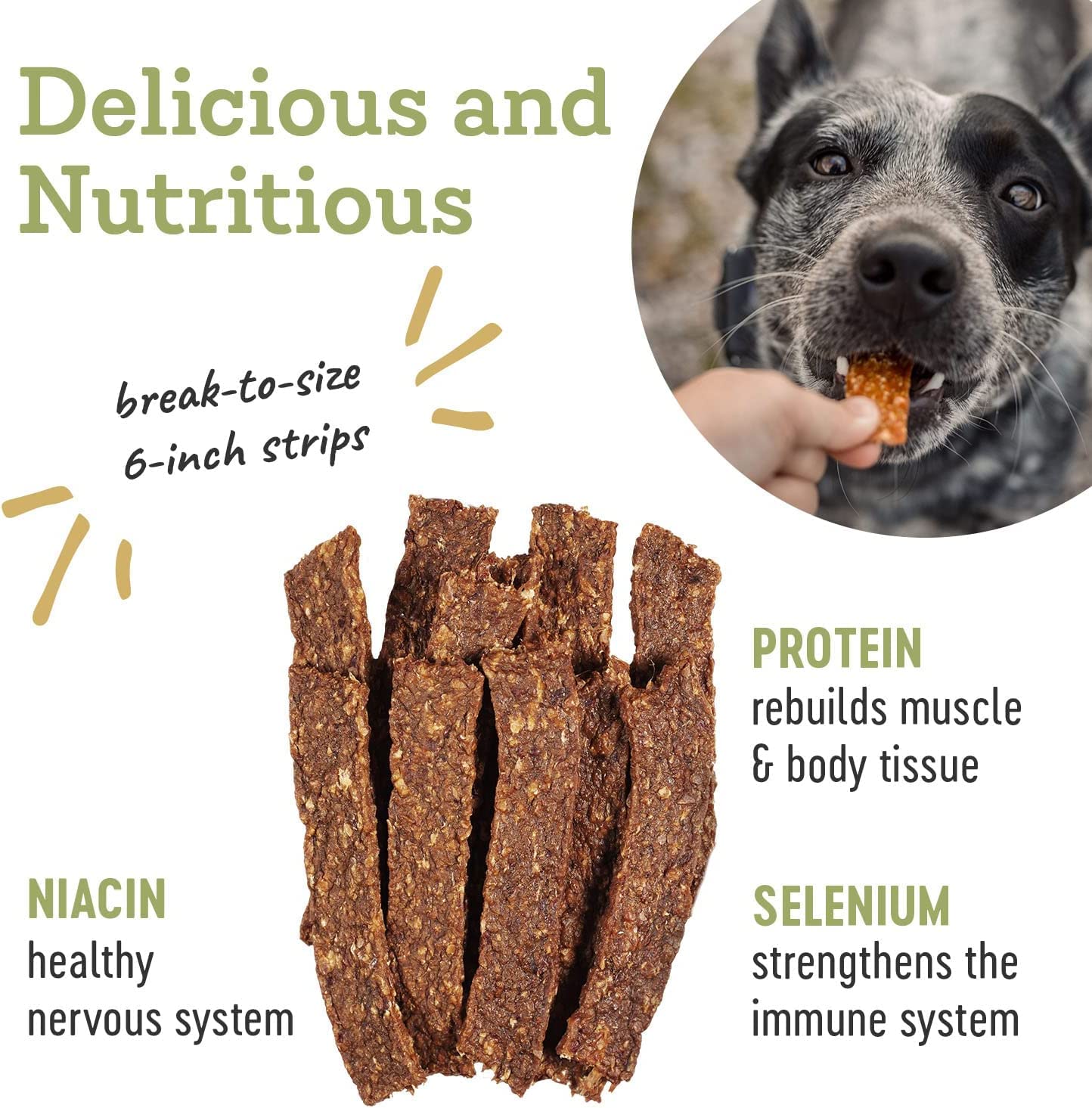 Farm Hounds - Chicken Strips - Premium Natural Jerky for Dogs - 100% Humanely Raised Chicken- Break-to-Size - Great for Training