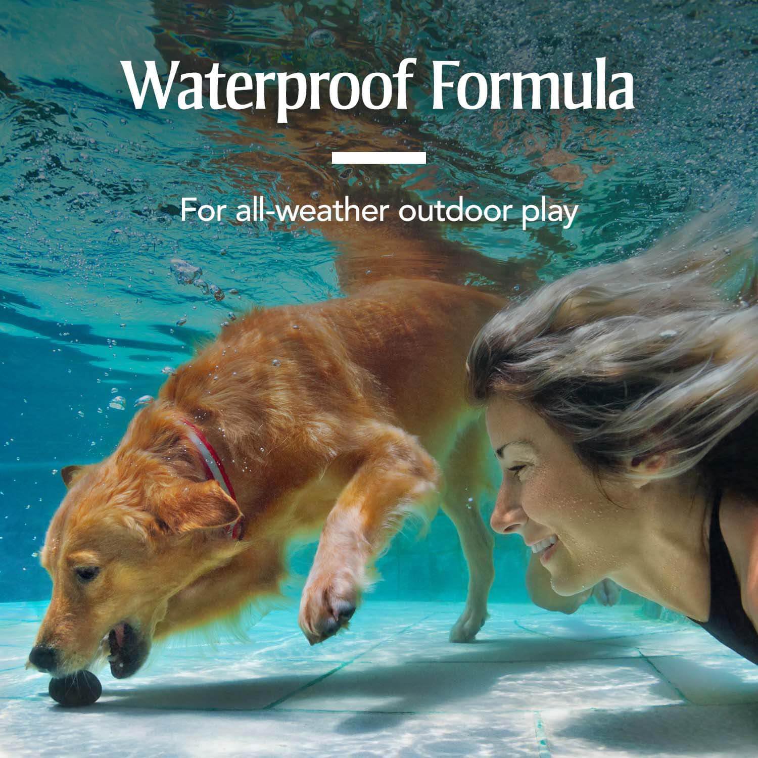 Petarmor For Dogs, Flea And Tick Treatment For Small Dogs (5-22 Pounds), Includes 6 Month Supply Of Topical Flea Treatments