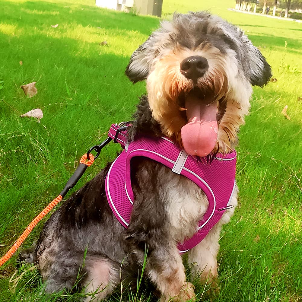 Joytale Step In Dog Harness,12 Colors,Breathable Mesh Vest Harness,Reflective Soft Padded Harnesses For Small And Medium Dogs,Hotpink,L