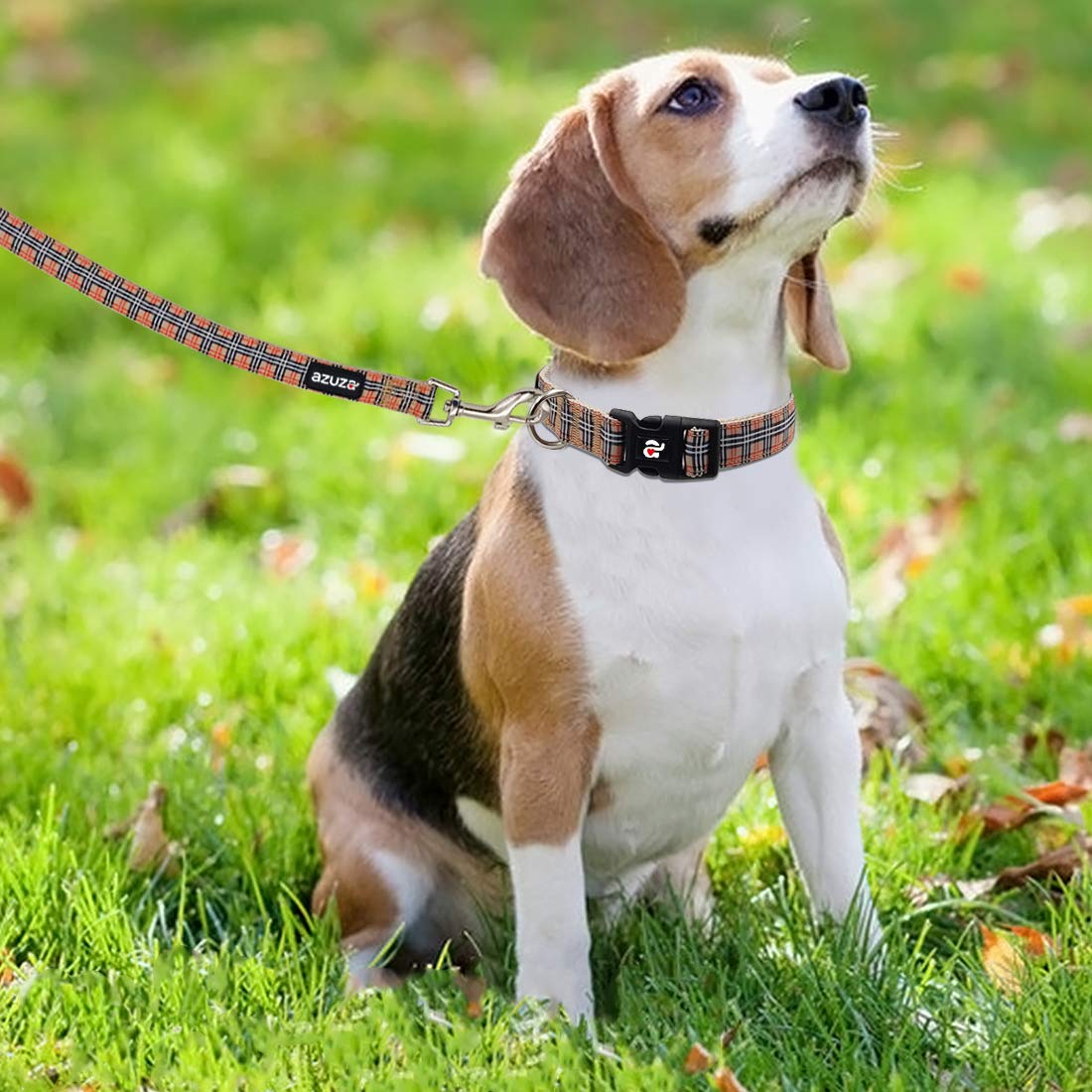 Azuza Dog Collar And Leash Set, Classic Plaid Dog Collar With Matching Leash For Small Dogs, Great For Christmas, New Year, Fest