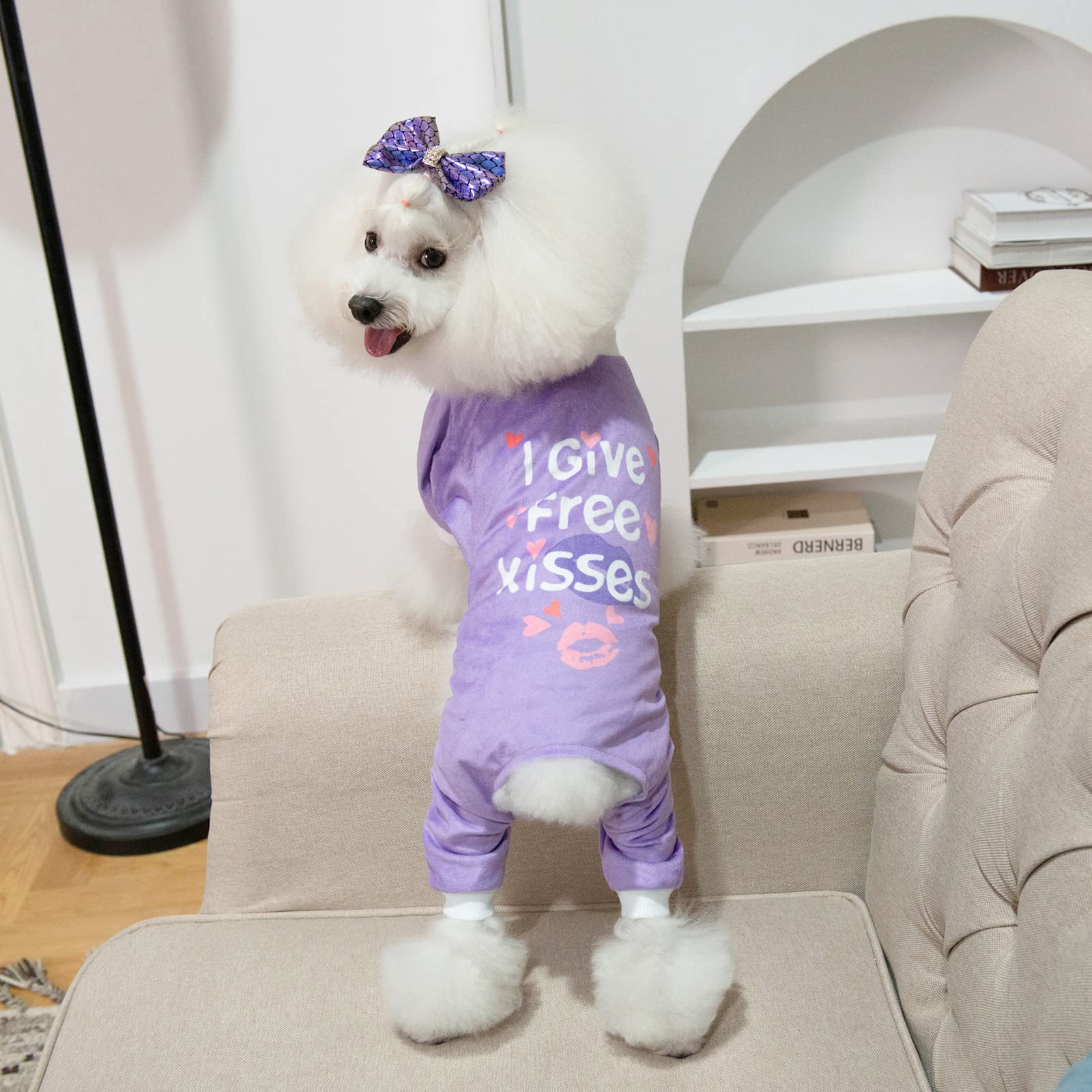 Cutebone Trend Letters Dog Pajamas Clothes Soft Puppy Pjs For Small Dogs P246S