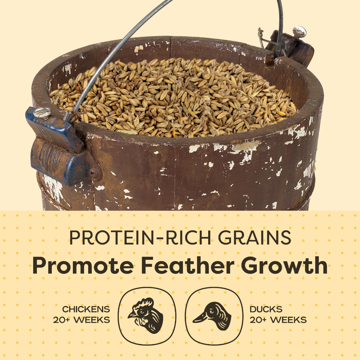 Scratch and Peck Feeds Cluckin Good 3-Grain Scratch for Chickens and Ducks - 10-lbs - Organic and Non-GMO Project Verified
