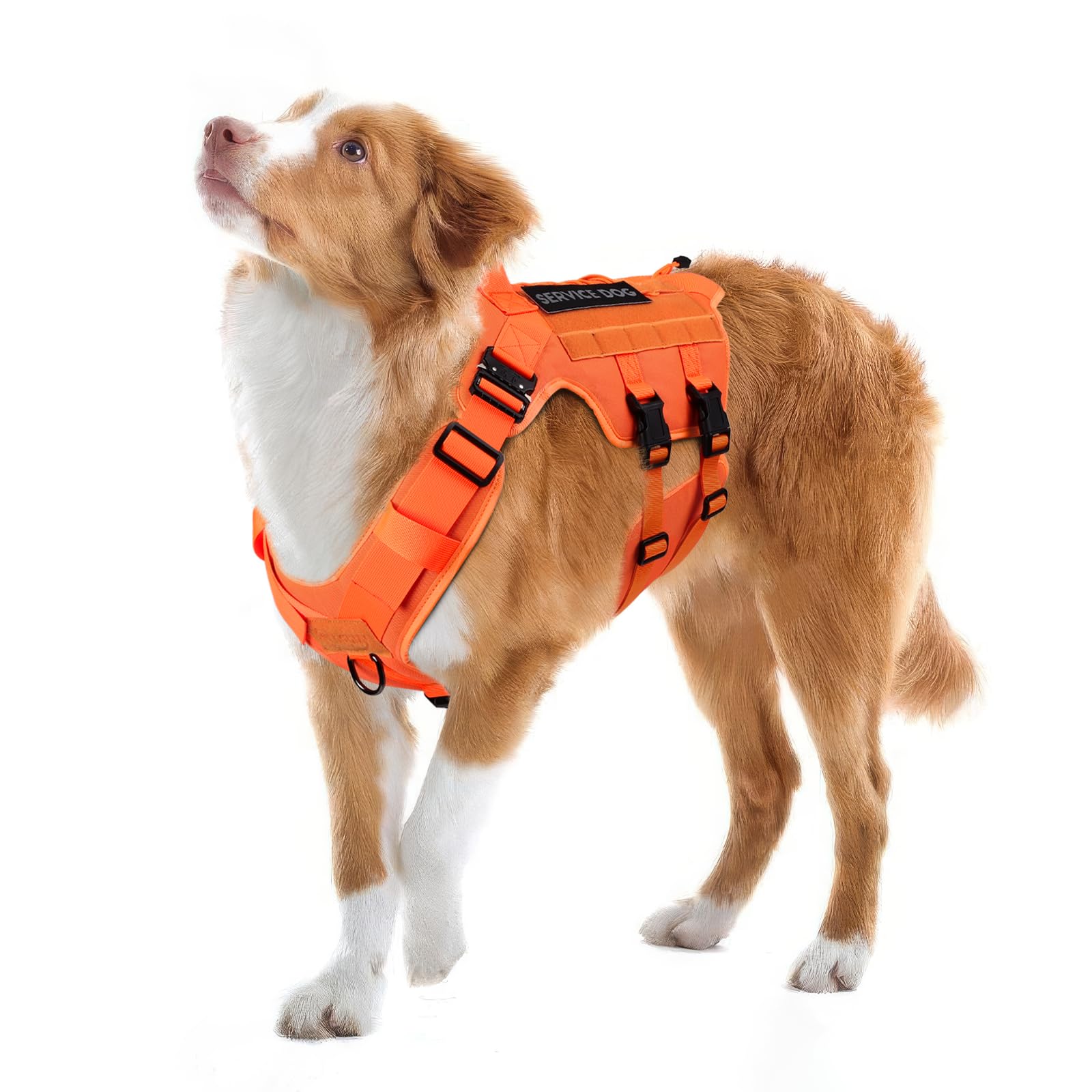 Tactical Dog Harness - Petnanny Harness Service Dog Vest For Large Breed Dog, Hook And Loop Panel For Service Patchs, Work Molle