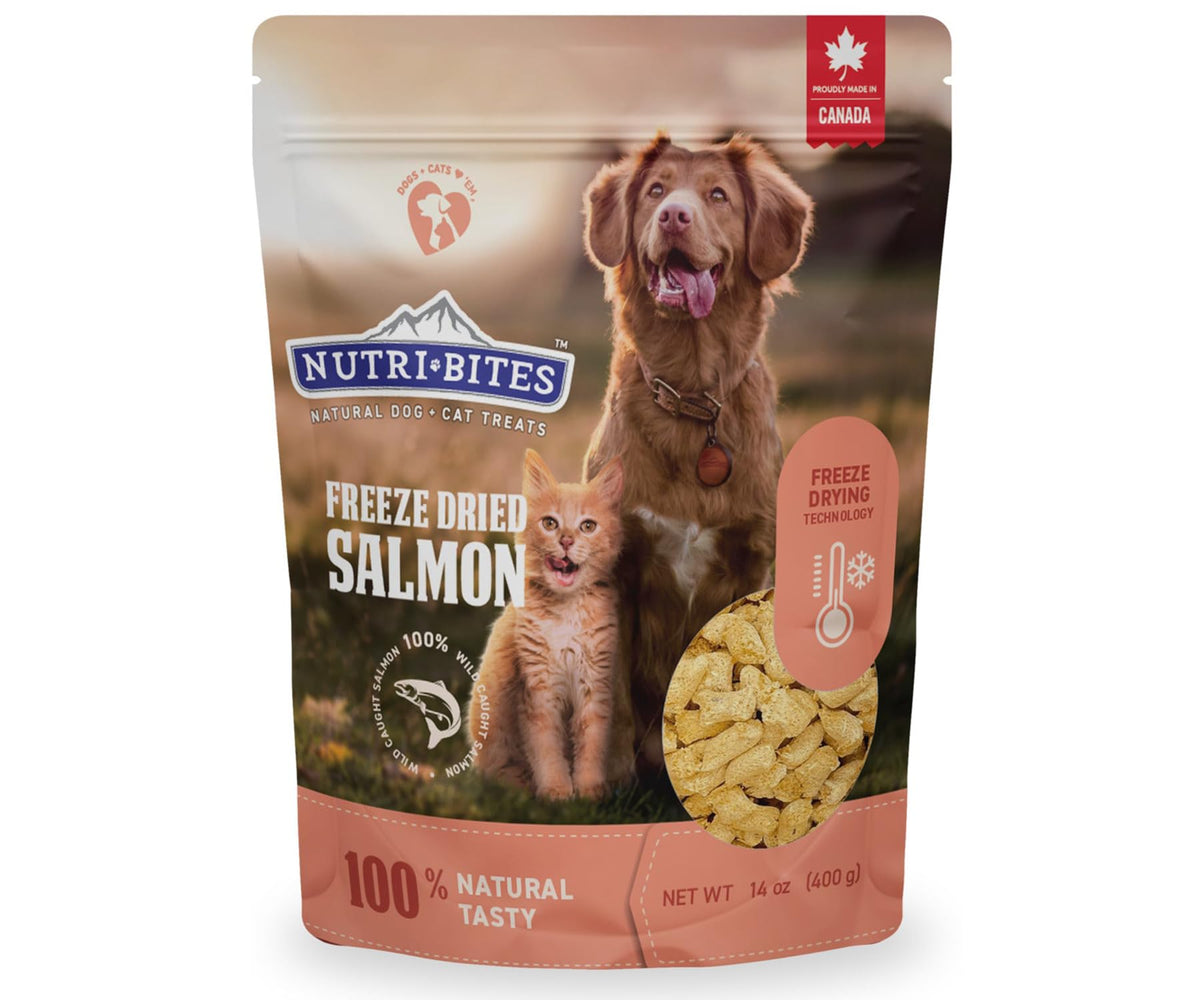 Nutribites Freeze Dried Salmon Dog & Cat Treats | Healthy Pet Training Treats Or Food Topper | All Natural, 1 Single Animal Protein, High Protein | Premium Bulk Value Pack, 14 Oz