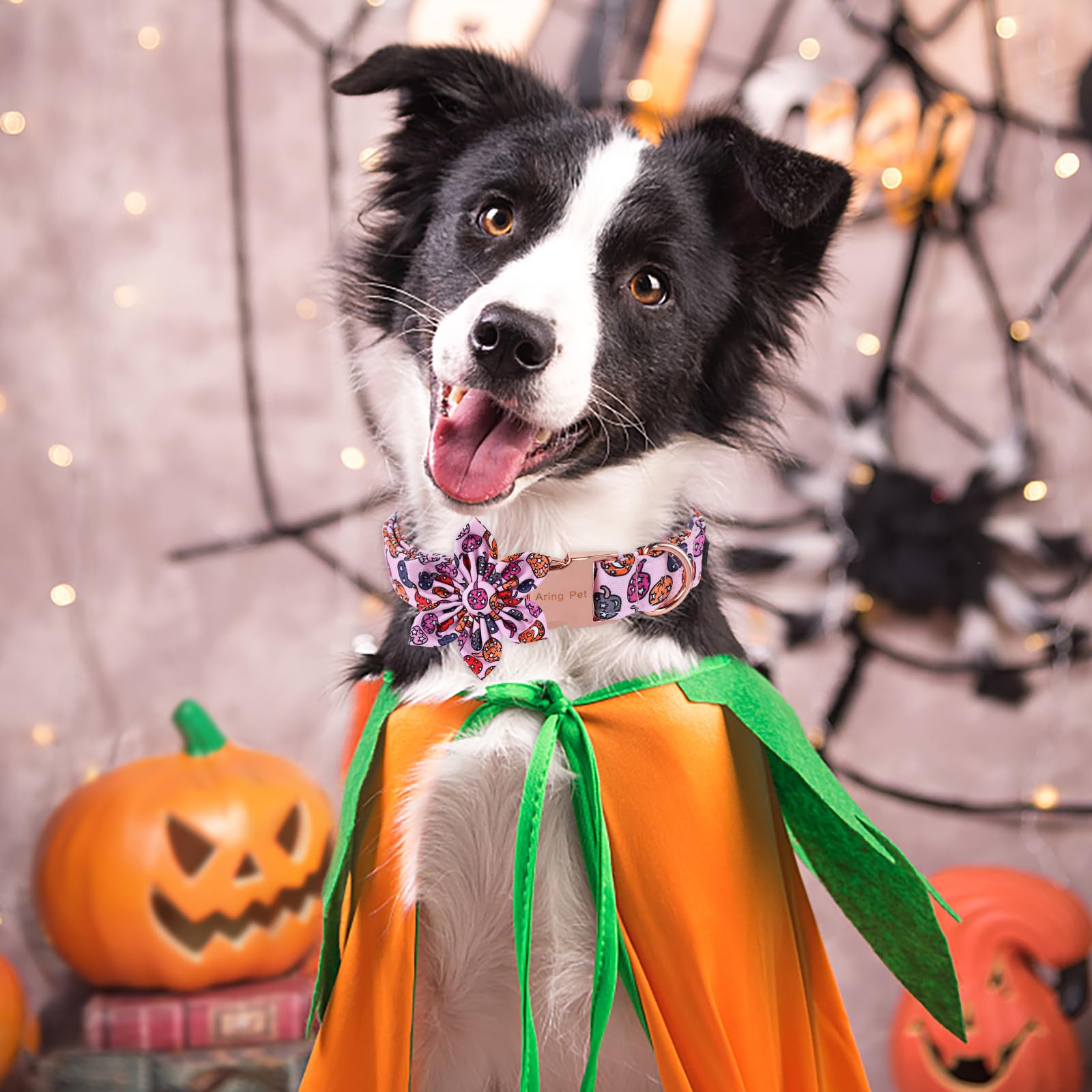 Aring Pet Halloween Dog Collar-Cute Pink Pumpkin Dog Collar With Flower, Adjustable Cotton Halloween Pumpkin Lamp Dog Collar Flower With Metal Buckle