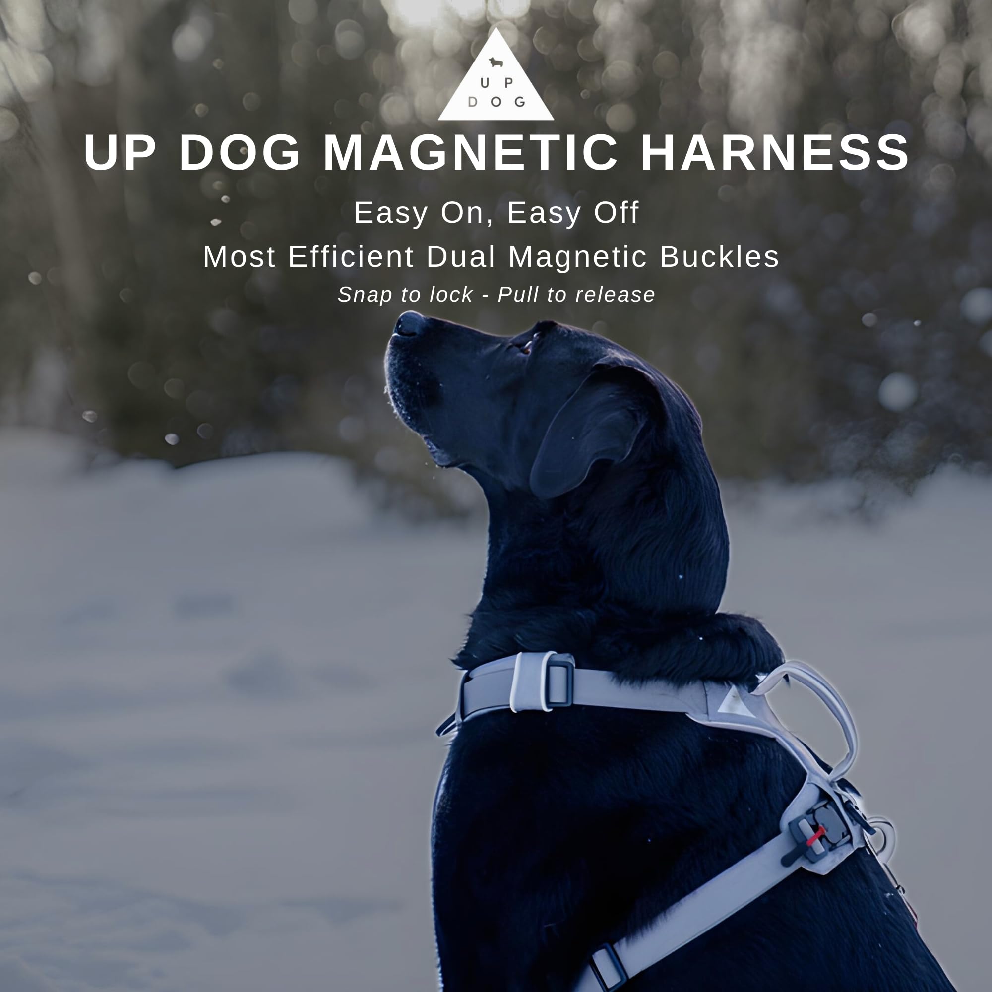 Strong & Secure Magnetic Dog Harness With Easy Lock Buckle - Comfortable No-Pull Vest For Small, Medium & Large Dog Breeds (Larg