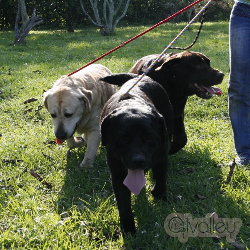 Alvalley Rope Dog Leashes With Stopper - Pet Slip Leads For Dogs - Soft Braided No-Pull Gentle Leash - Adjustable For Small, Medium, Large And Extra Large Dogs (Black, 6Ft Long, 9Mm Thick)