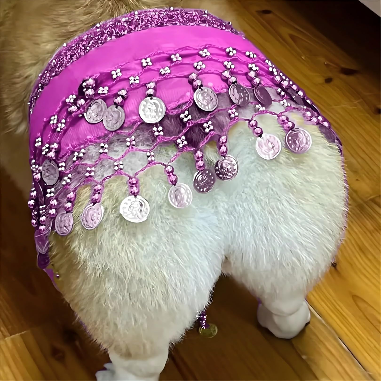 Chowone Dogs Belly Dancer Skirt, Waist Chain Hip Curtain Clothes For Corgi Dog Belly Dance Style With Sequin, Puppy Hip Shaking 
