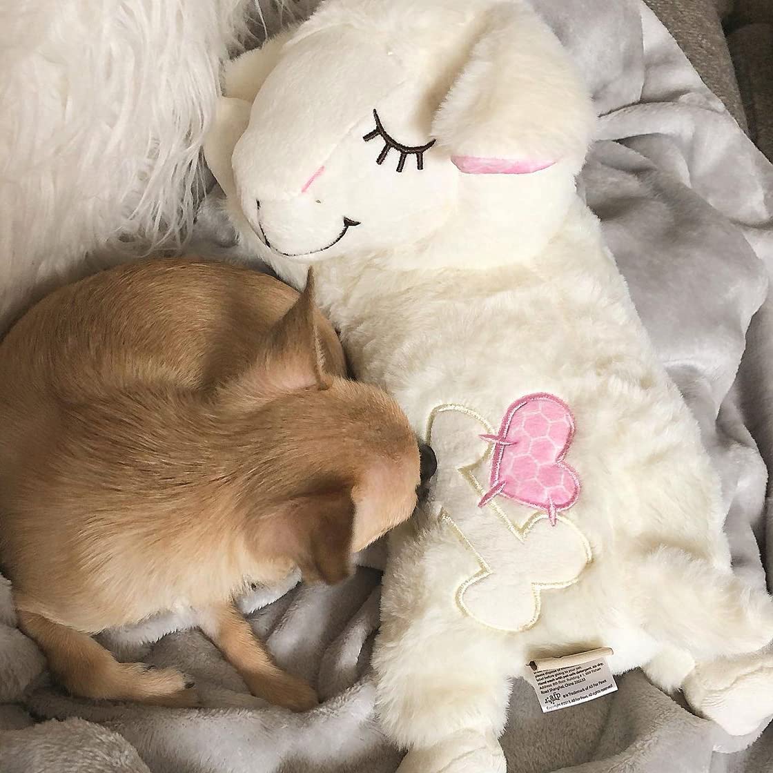 All For Paws Heartbeat Replacement Soother Heartbeat Simulator For Puppy Sleep Aid Calming Plush Toys