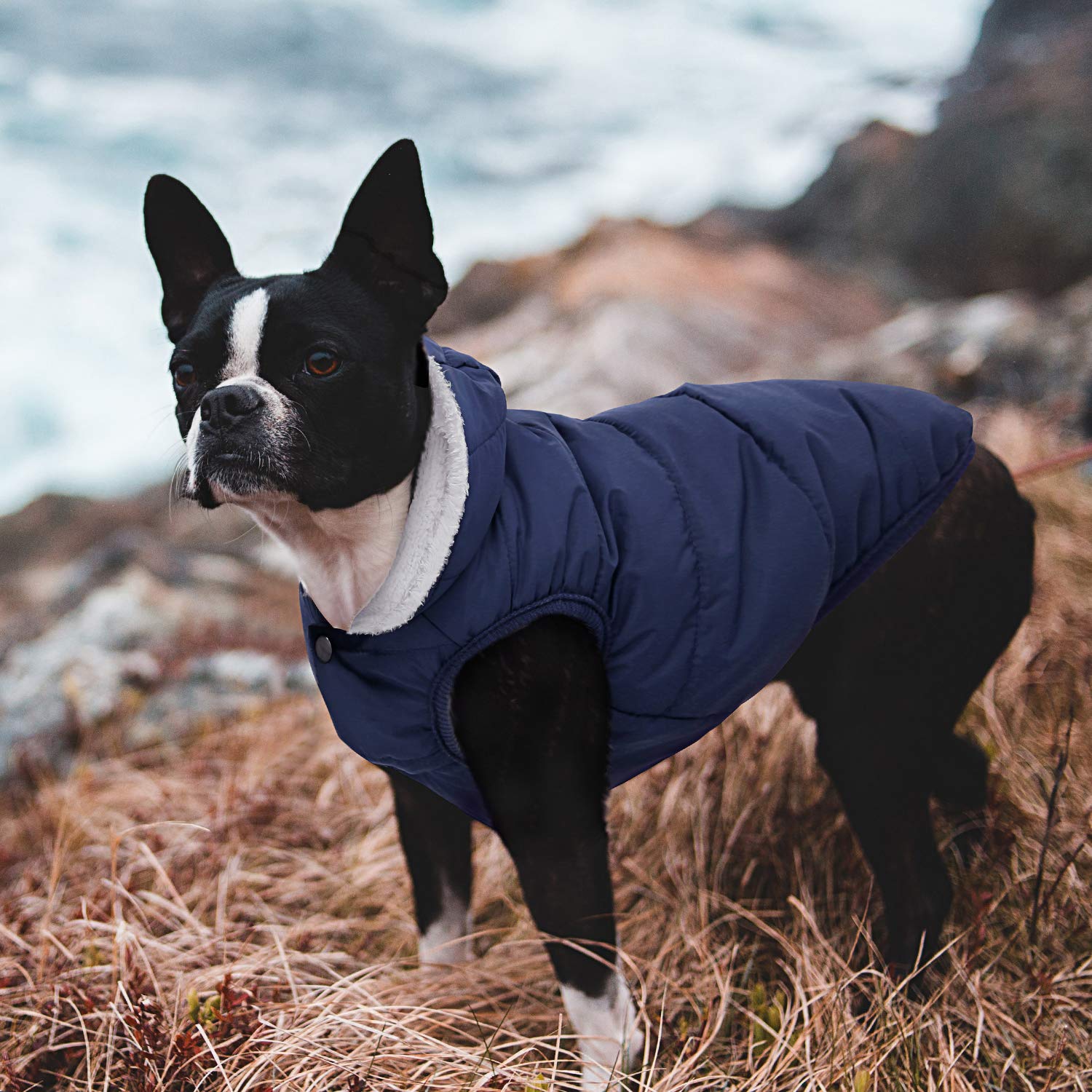 Fleece Hoodie For Dogs - Windproof Waterproof Coat, Winter Warm Jacket, Cold Weather Pet Apparel Clothes Vest For Small Medium L