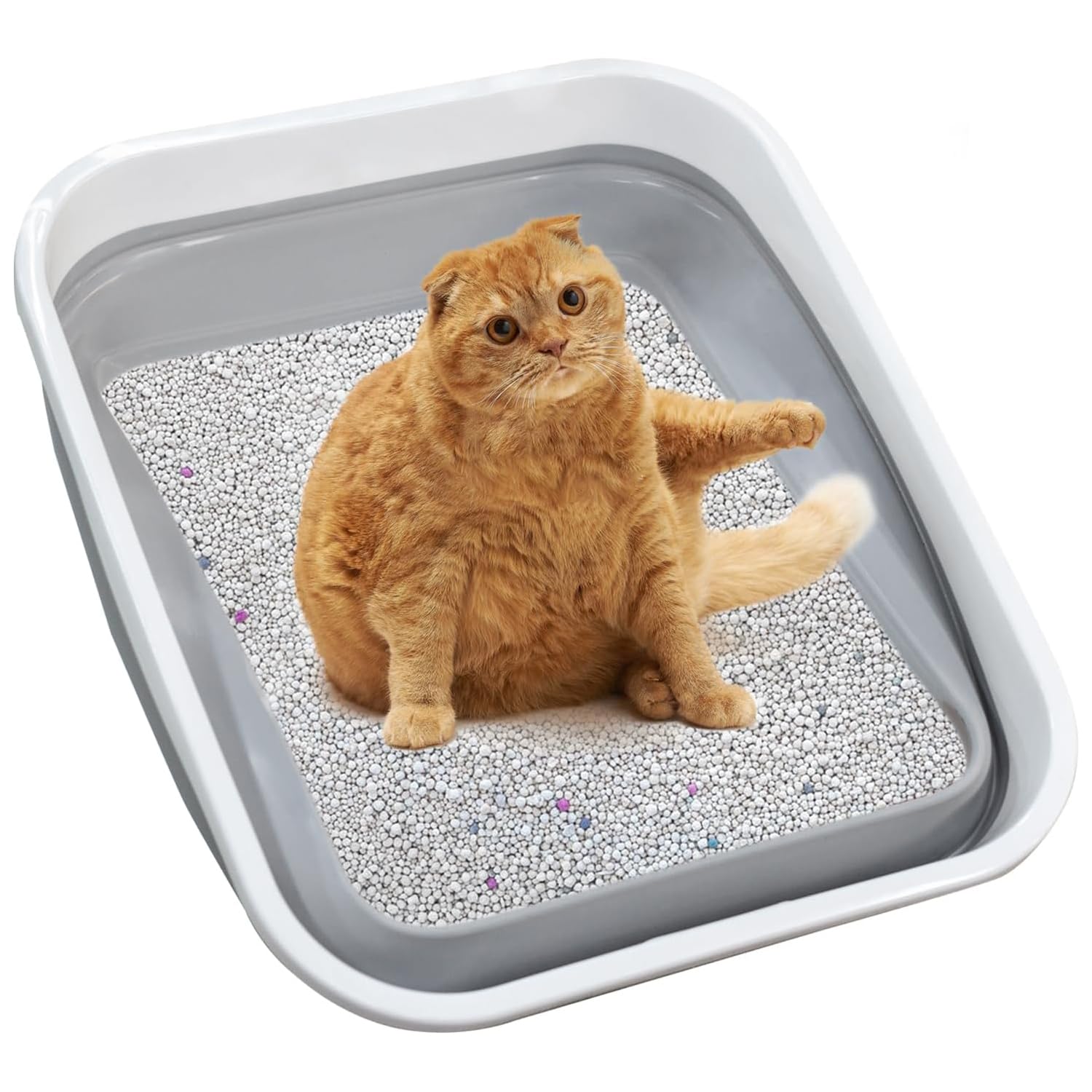 Maohegou Large Cat Litter Box for Kittens to Senior Cat, Elderly and Fat Cat,Elderly cat Mobility Issues,Foldable Travel Litter 