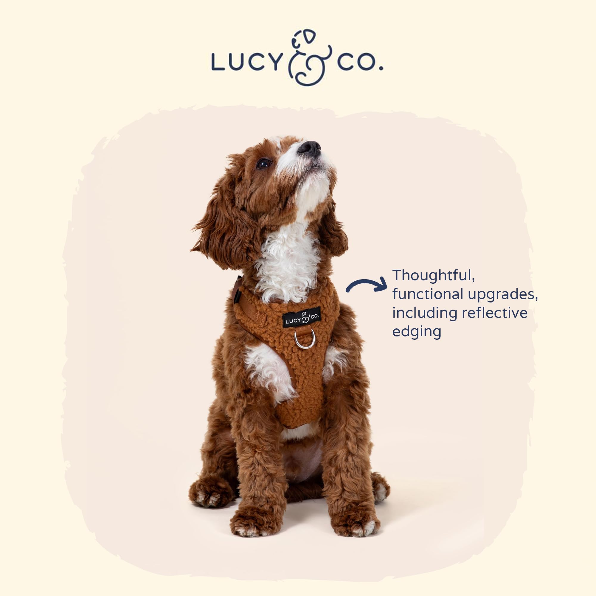 Lucy & Co. Cute No-Pull Cinnamon Teddy Harness - Stop Pulling & Walk Easy - Harness Available in XS-XL for Small, Medium, and La