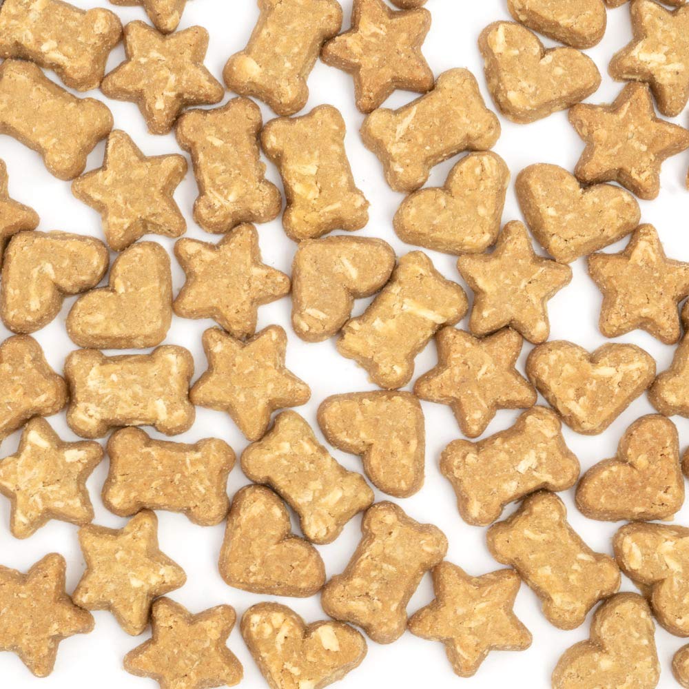 Cocotherapy Coco-Charms Training Treats - Pumpkin Pie, (1 Pouch), 5 Oz.