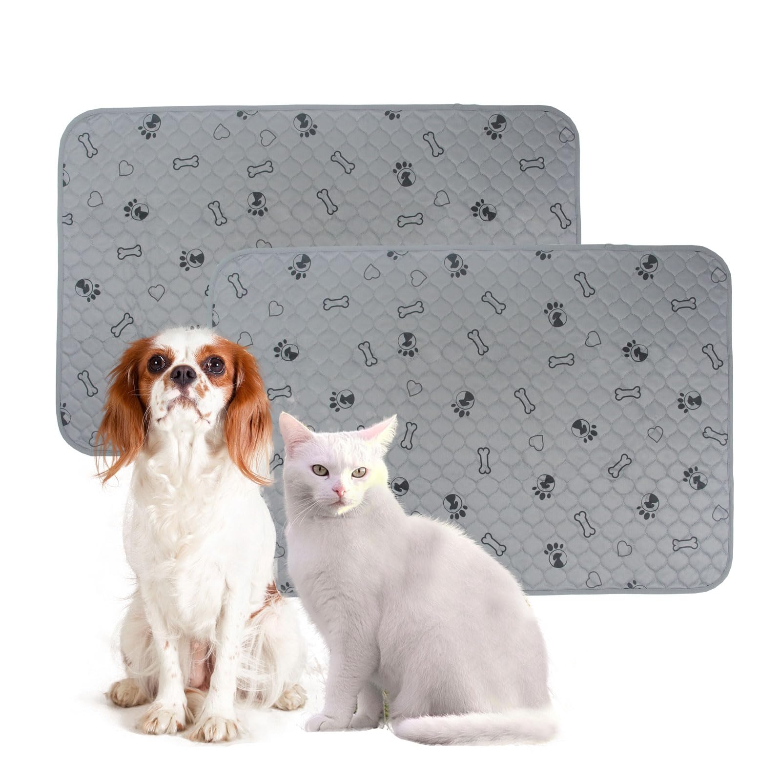 2 Pack 36X41 Washable Dog Pee Pads With Puppy Blanket,Puppy Pads,Dog Pad Washable Waterproof, Potty Buddy Reusable Potty Pads Fo